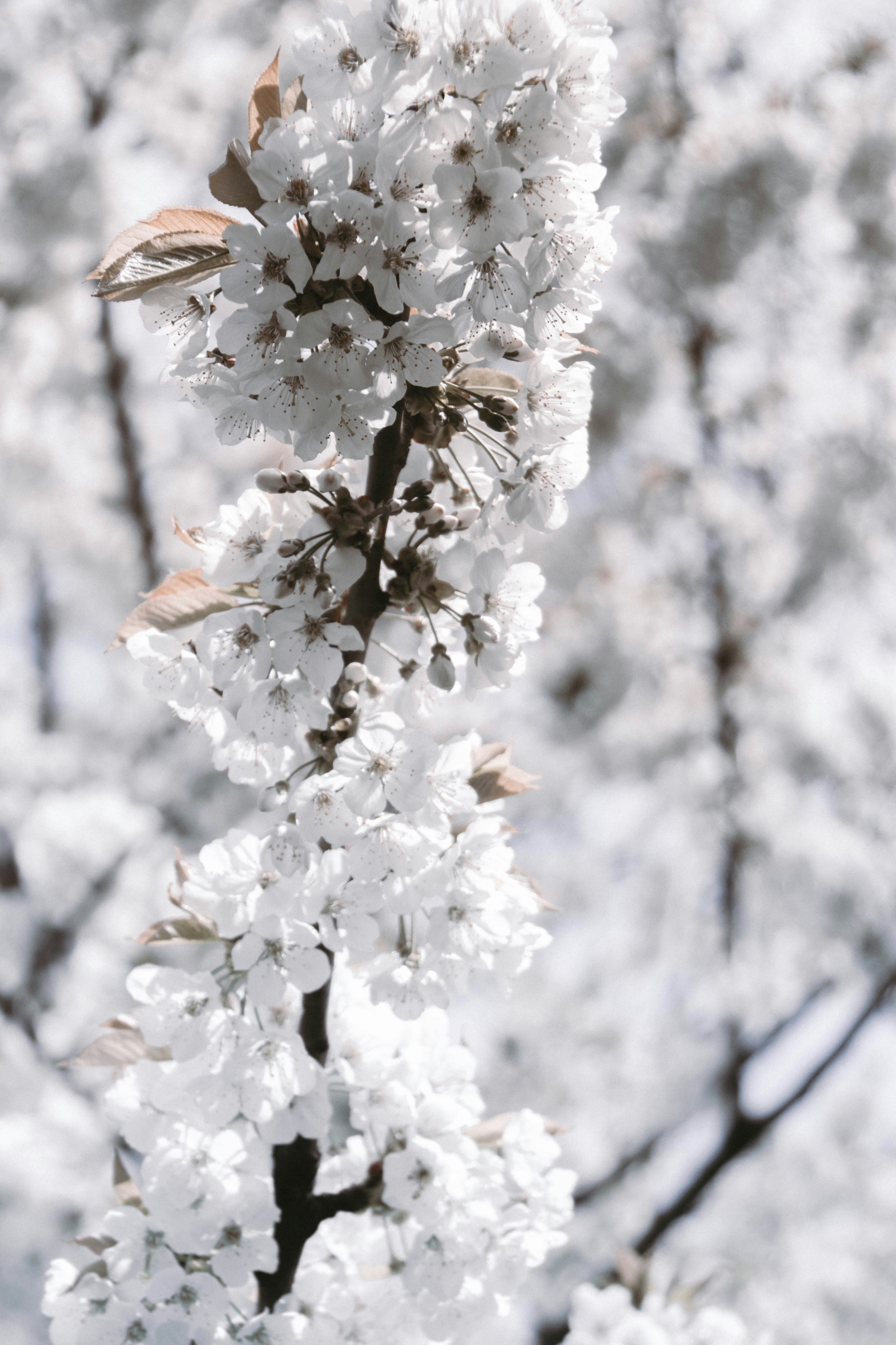Photo by kasiamizeradief