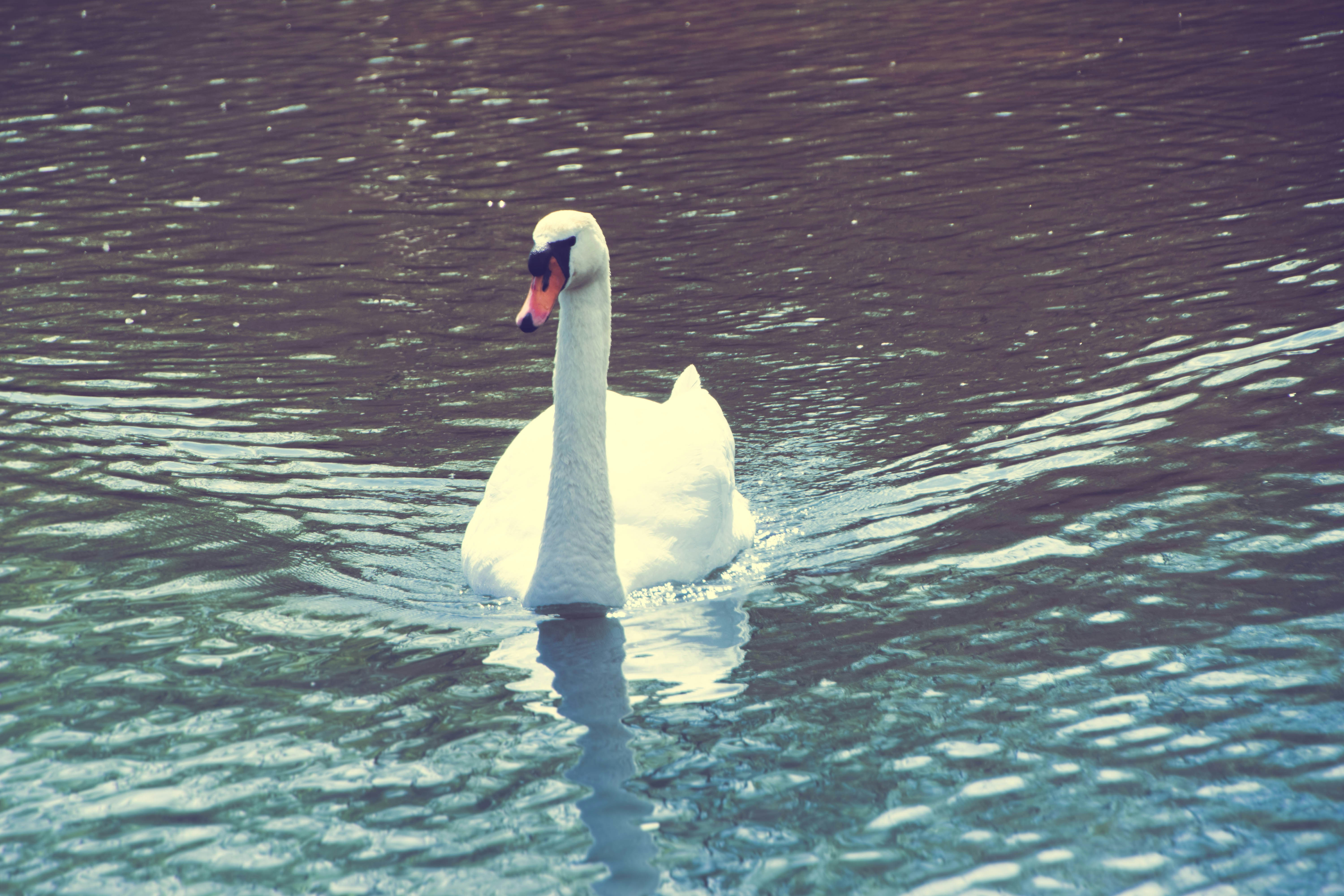Photo by kasiamizeradief