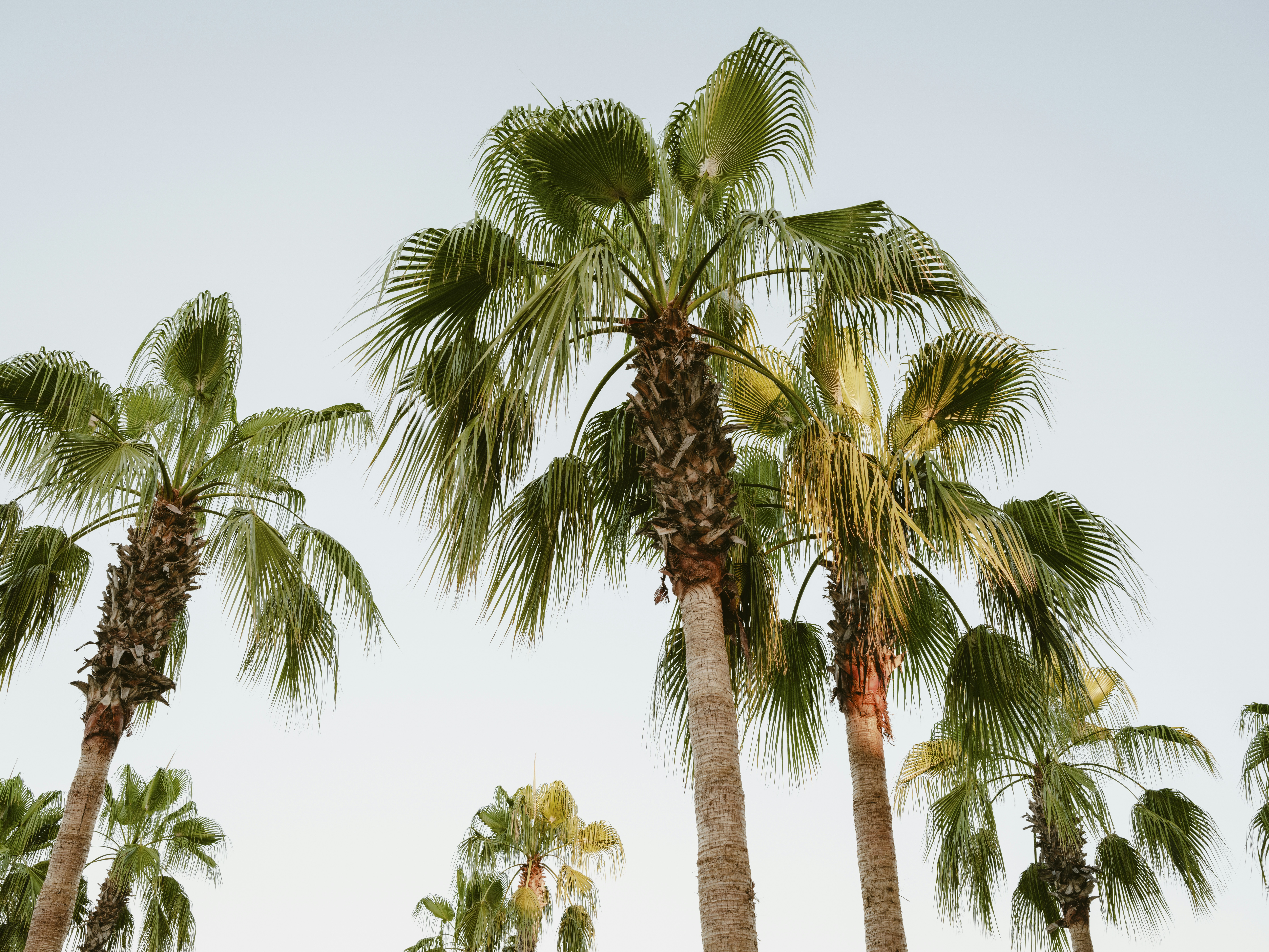 Photo by enginakyurt