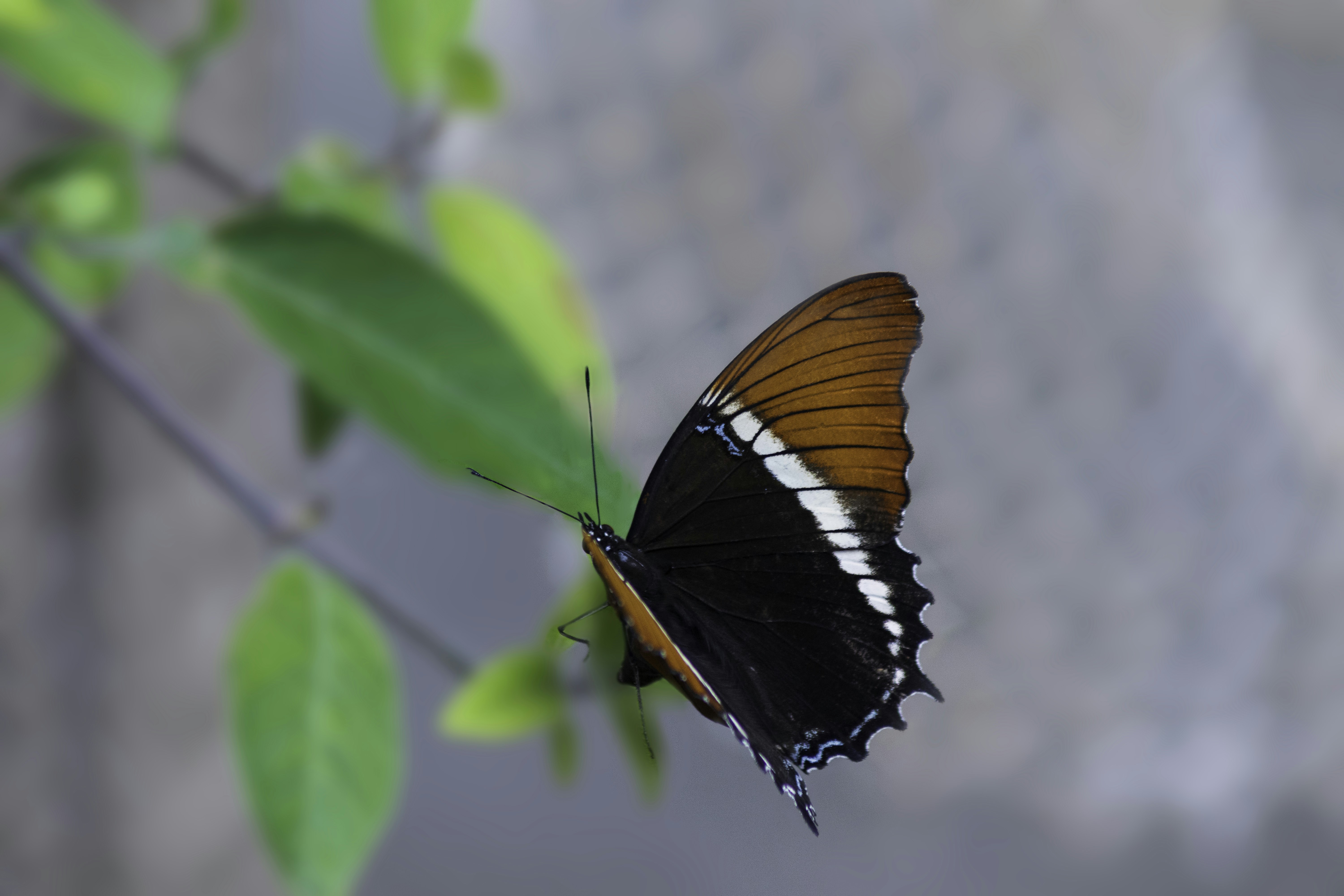 Photo by heino_120206