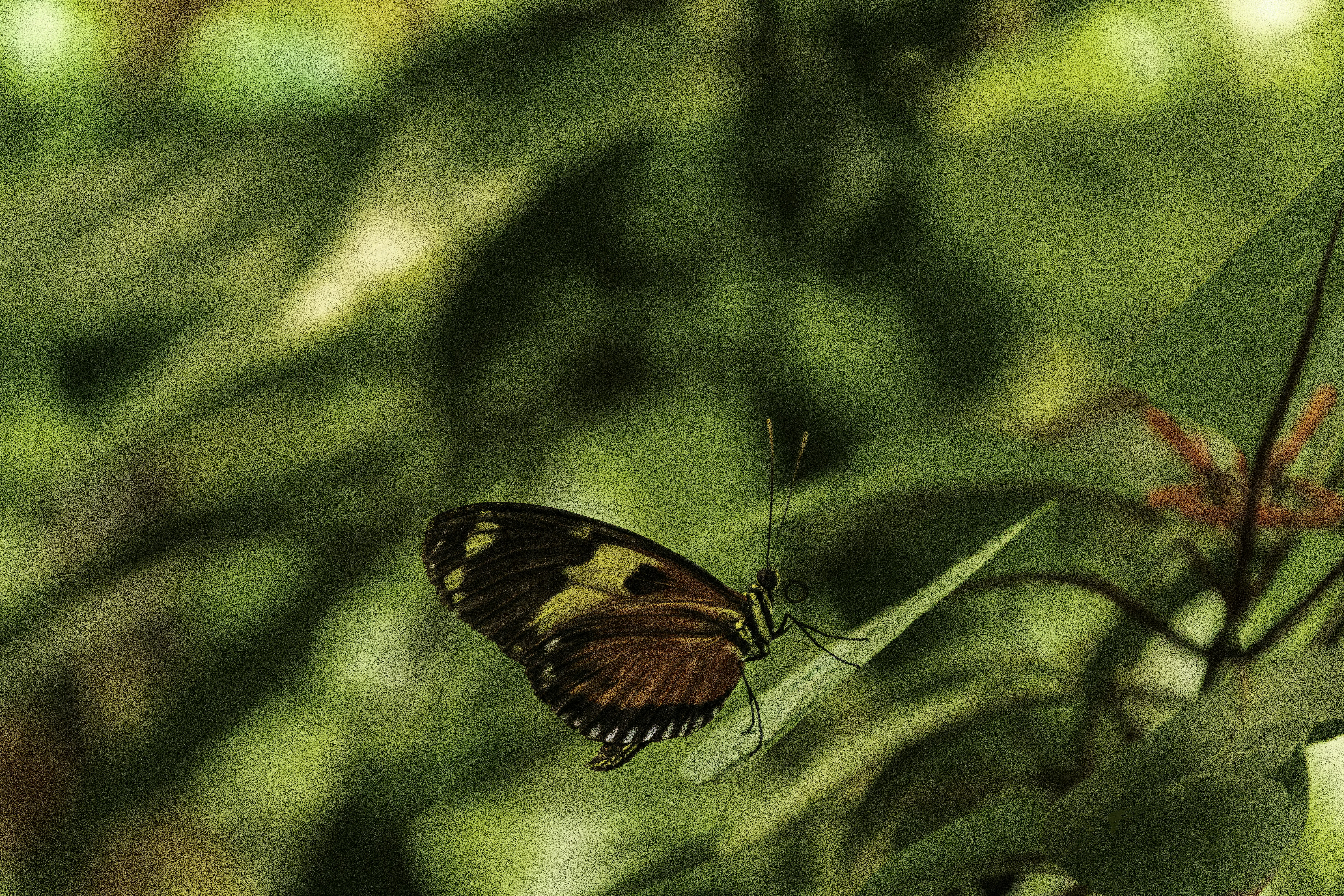 Photo by heino_120206