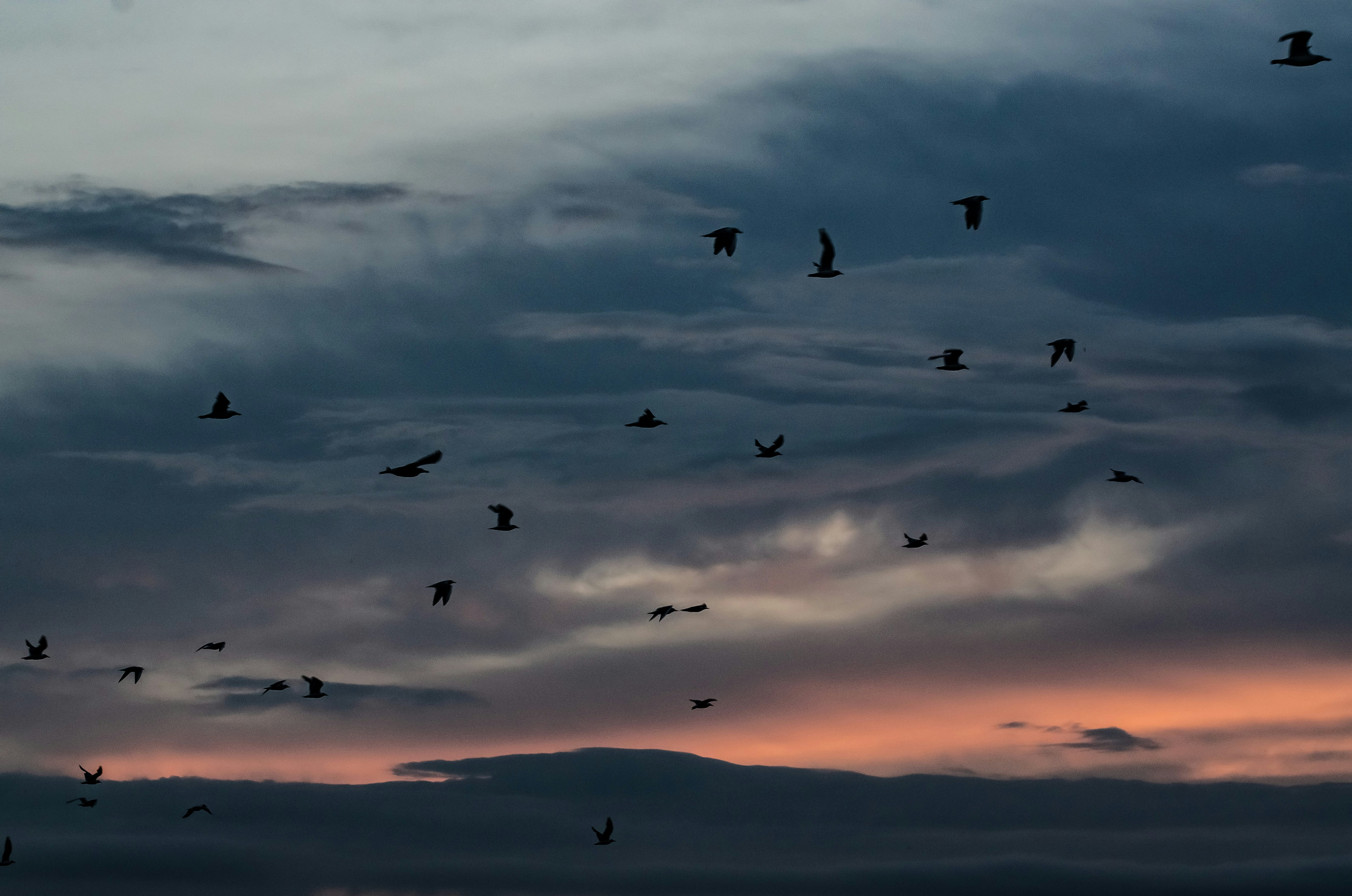Photo by viktortalashuk