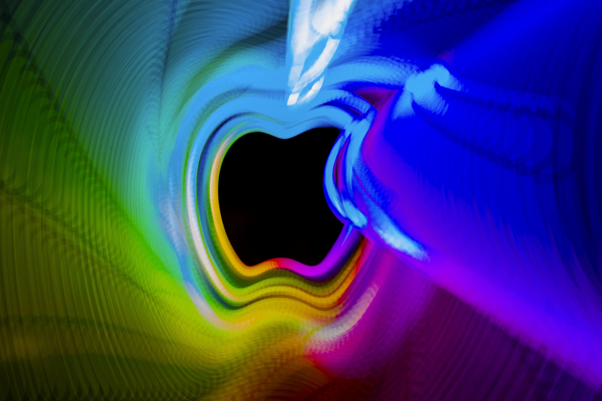 a close up of a colorful fish