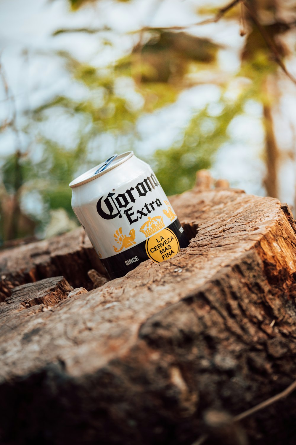 a can of beer on a tree