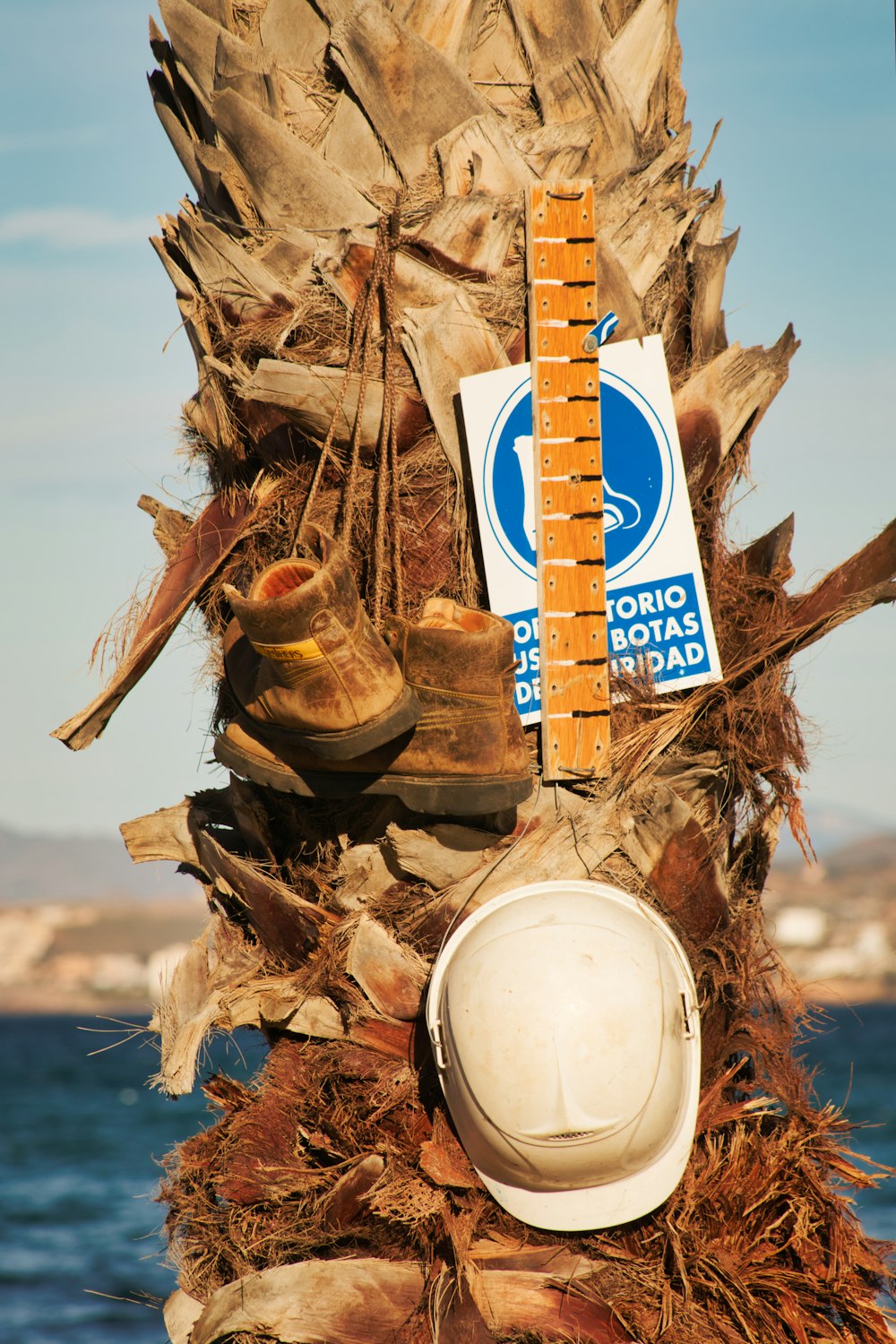 a tree with a sign and a satellite dish on it