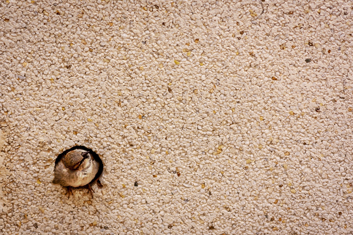 Stain removal image background image
