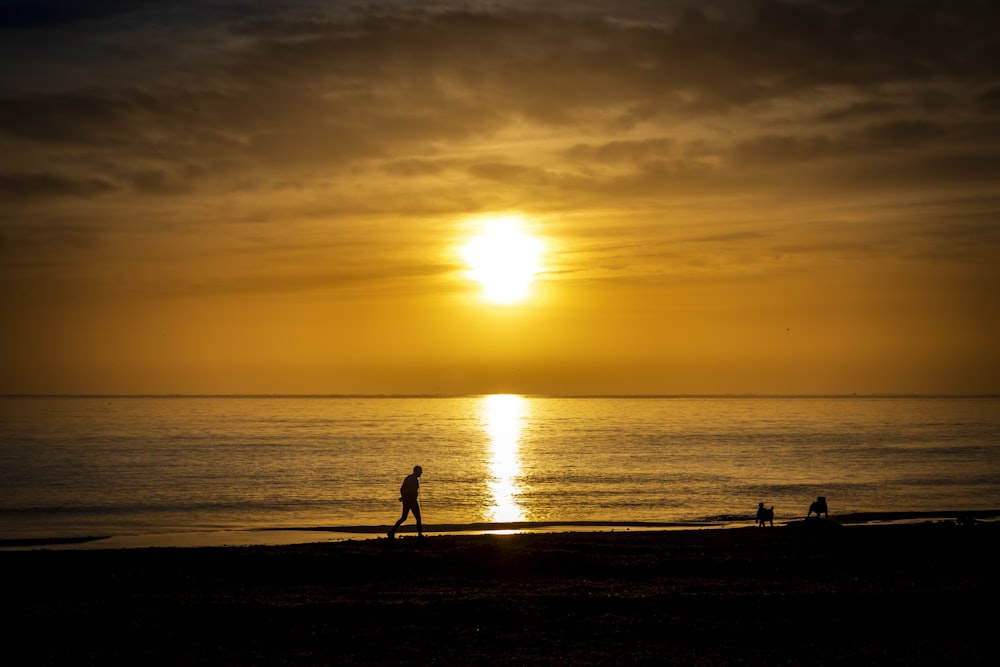 a person standing on a beach