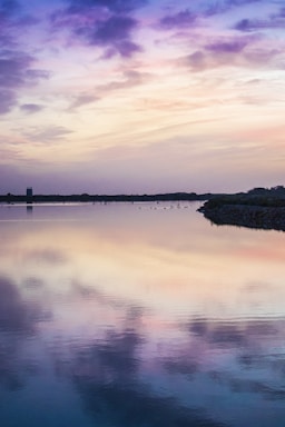 a body of water with trees and a city in the background