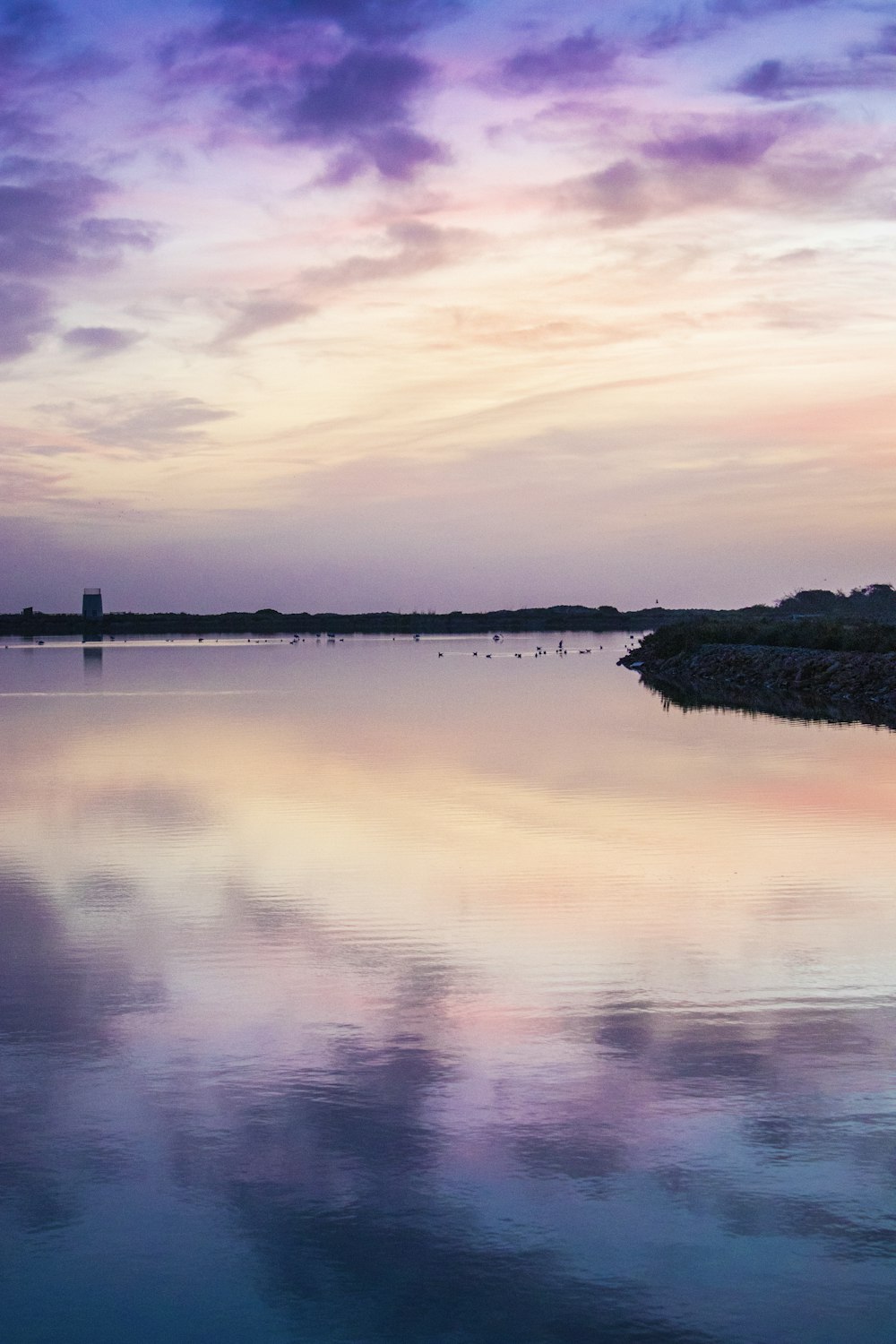 a body of water with trees and a city in the background