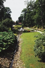 a stone pathway with a stone wall and grass and trees