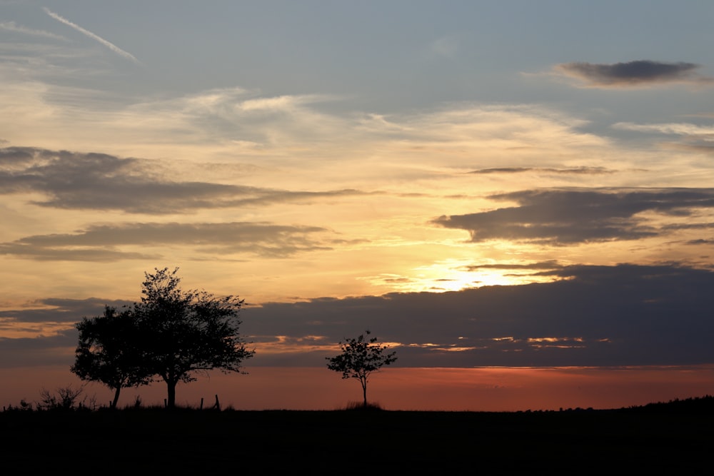 a sunset with trees