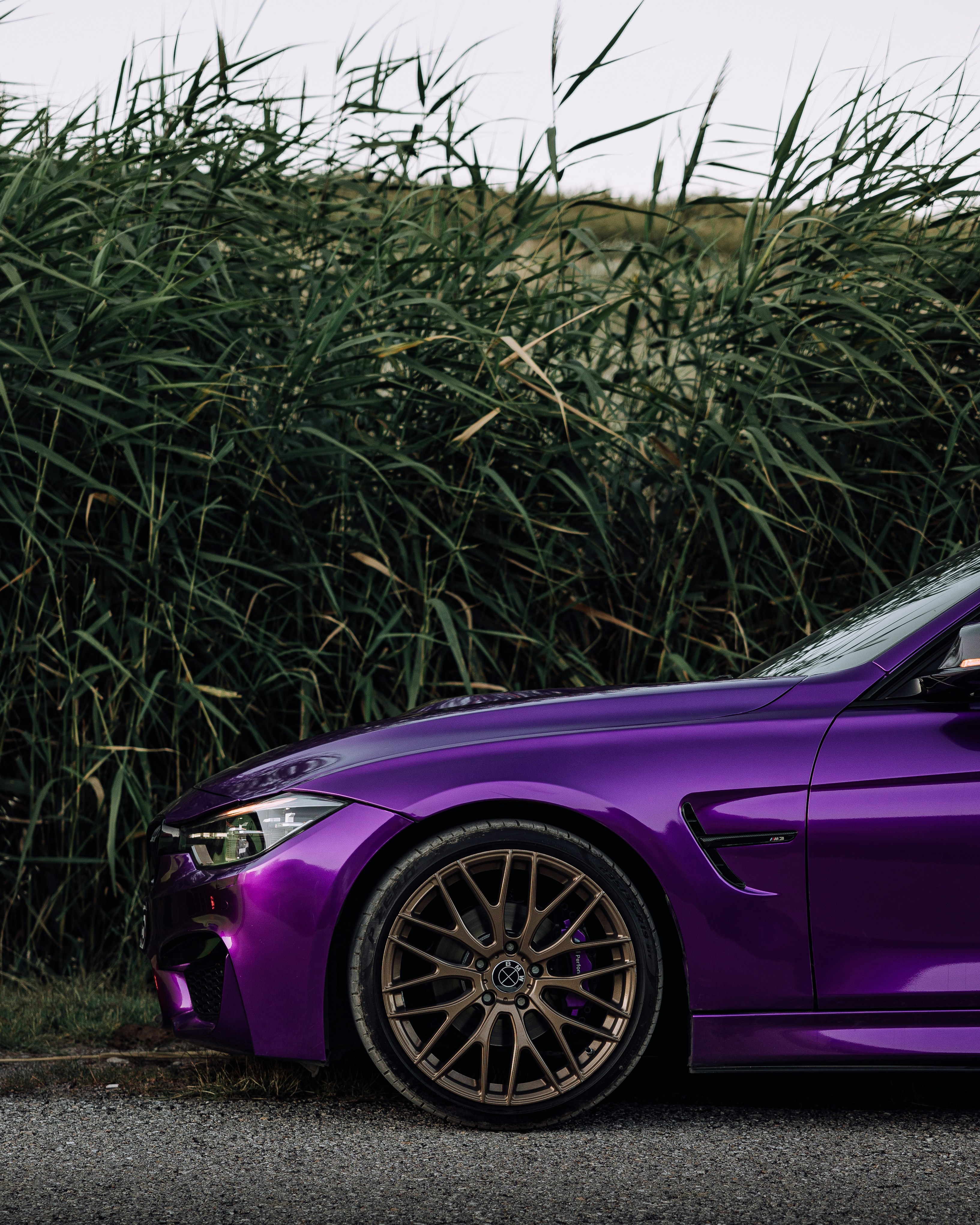 A purple car parked in front of a hedge photo – Free Car Image on Unsplash
