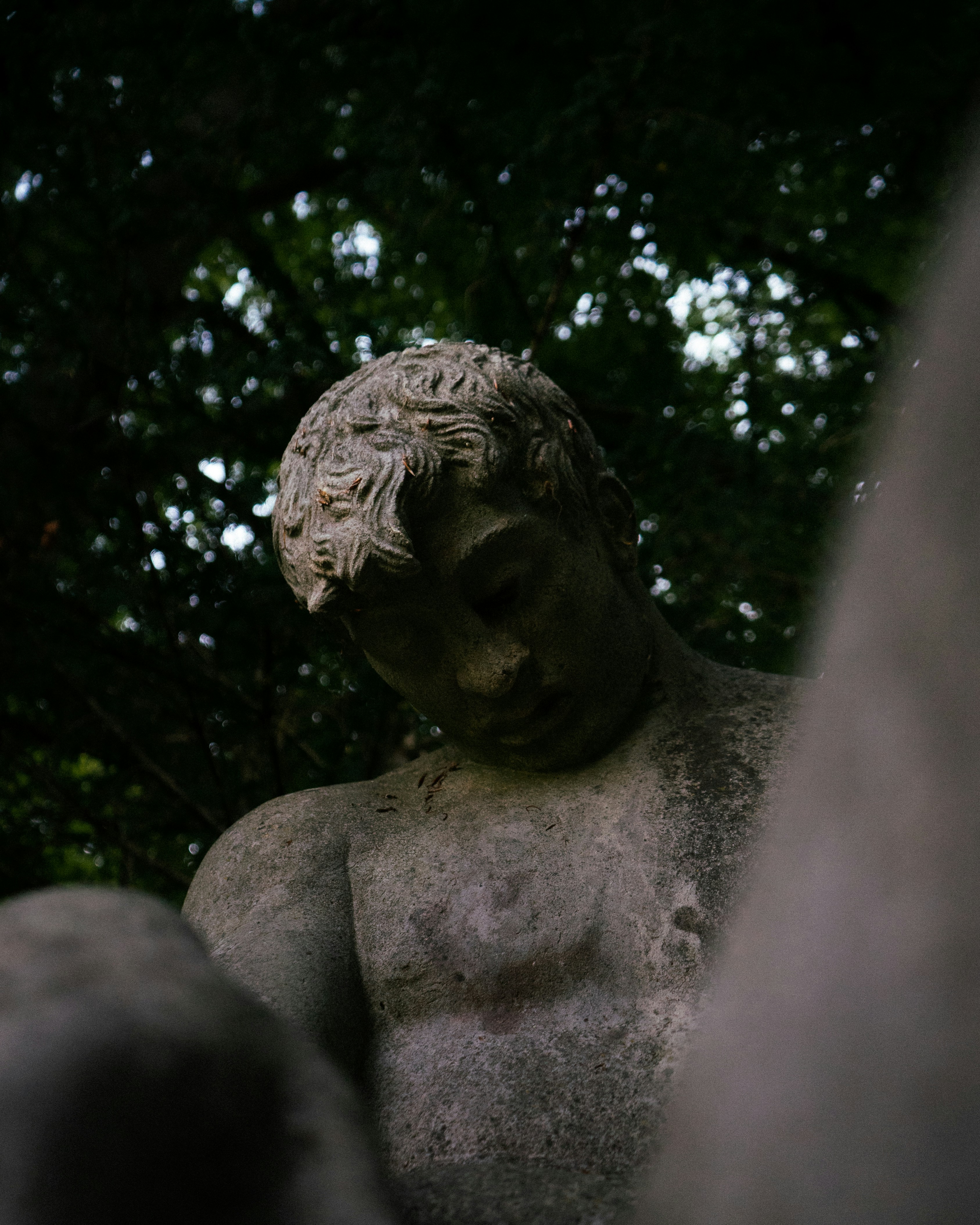 Photo by meisterschuster