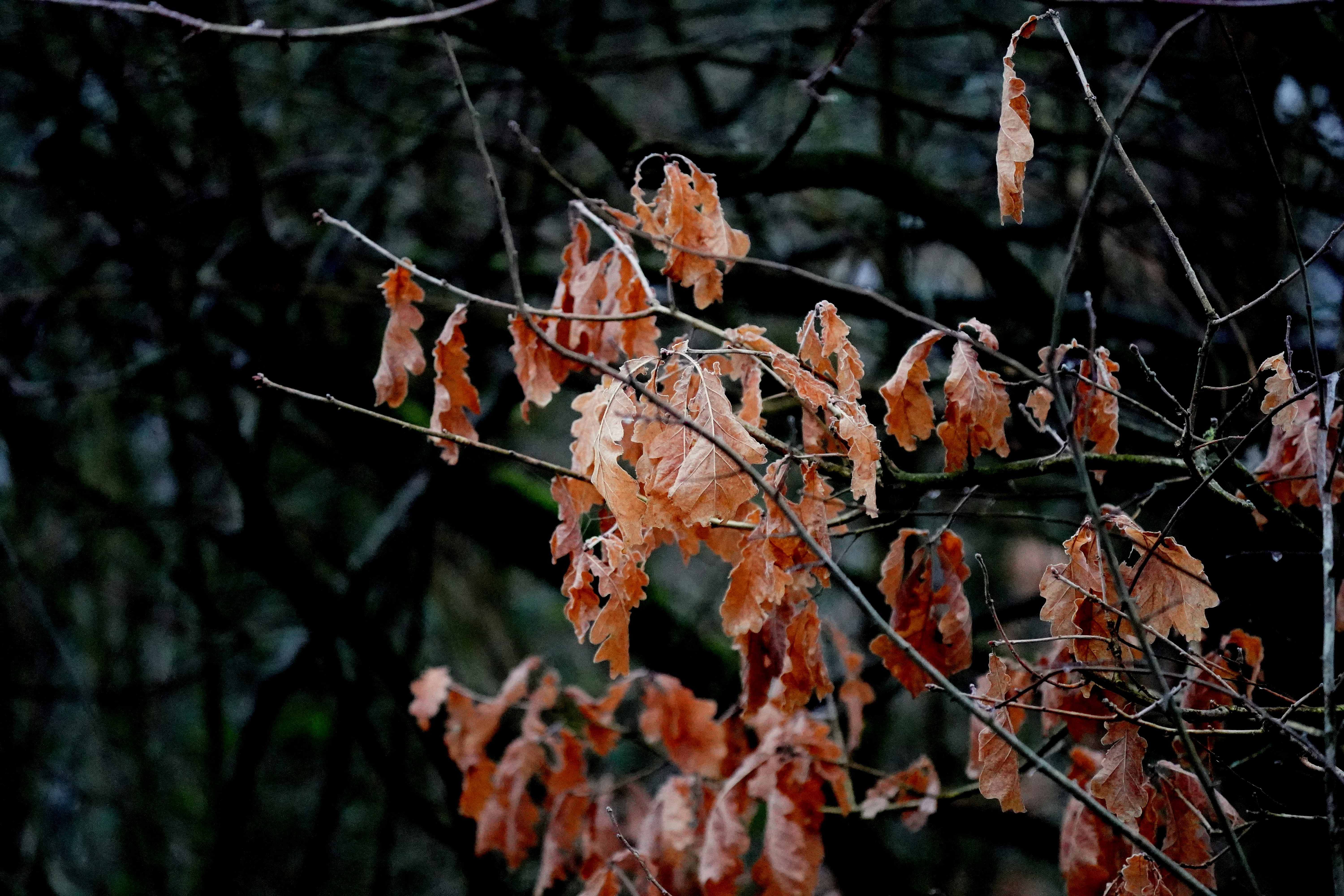 Photo by mw41
