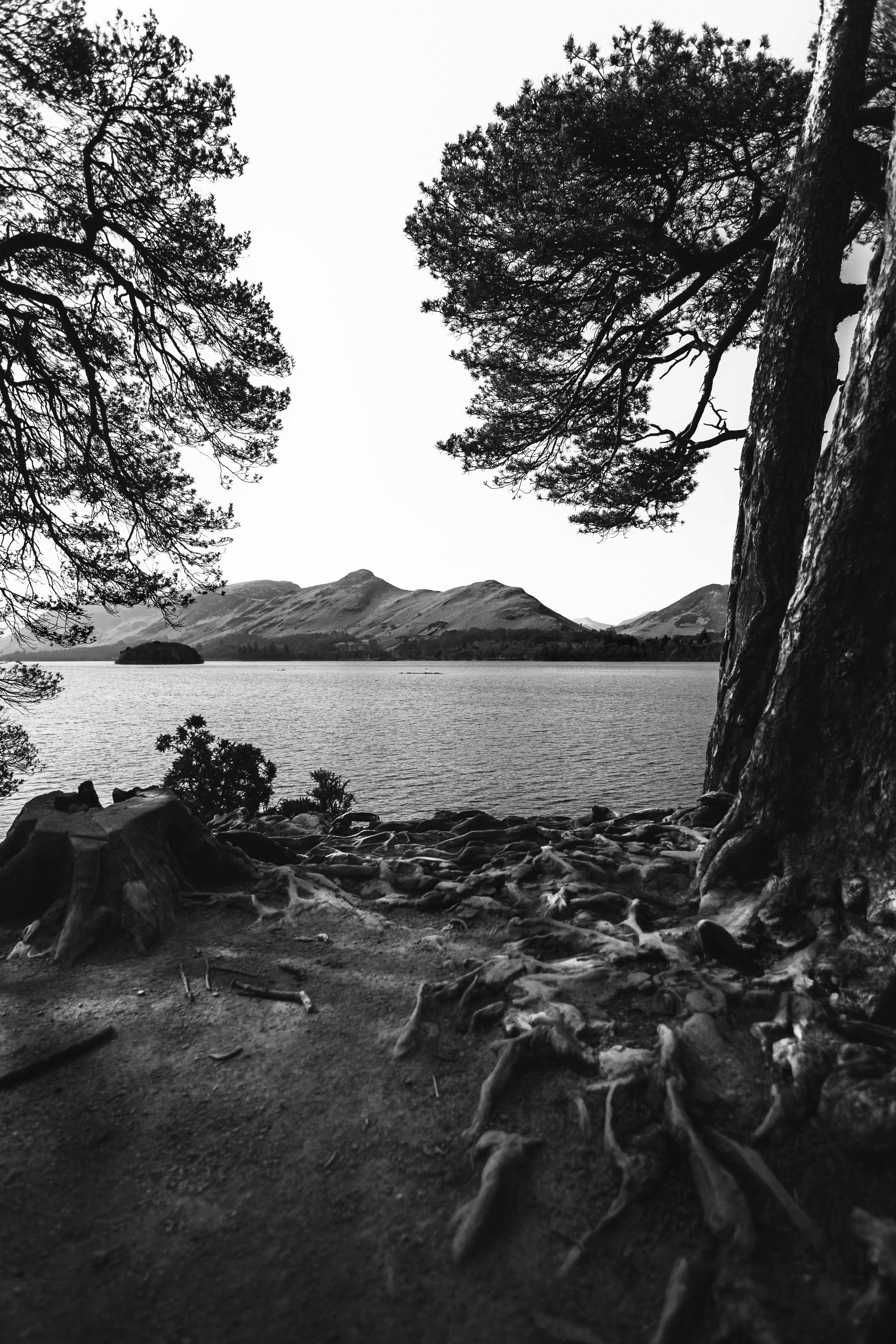 a lake with trees and mountains in the background