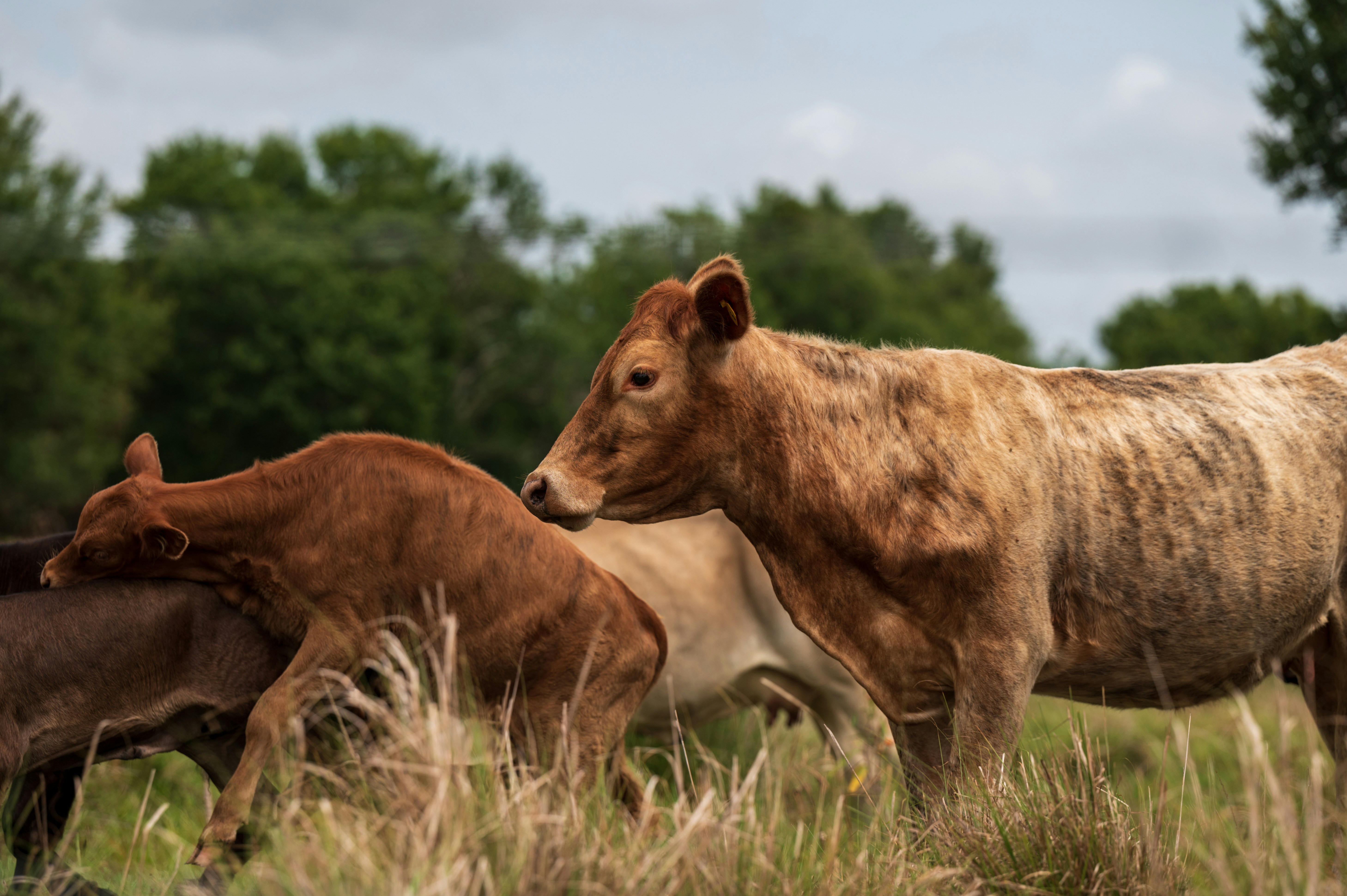 Photo by add_rien_20