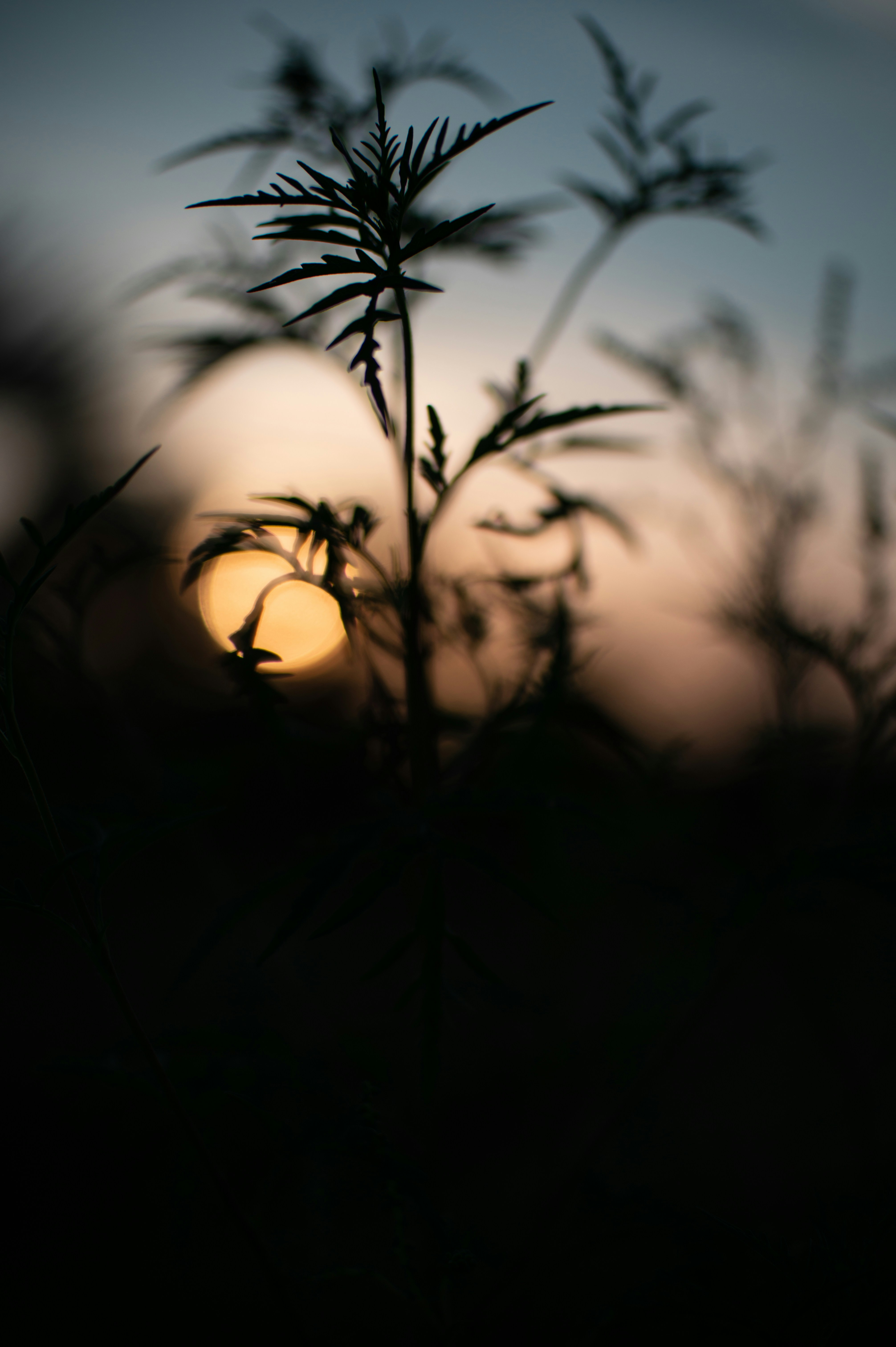 Photo by add_rien_20