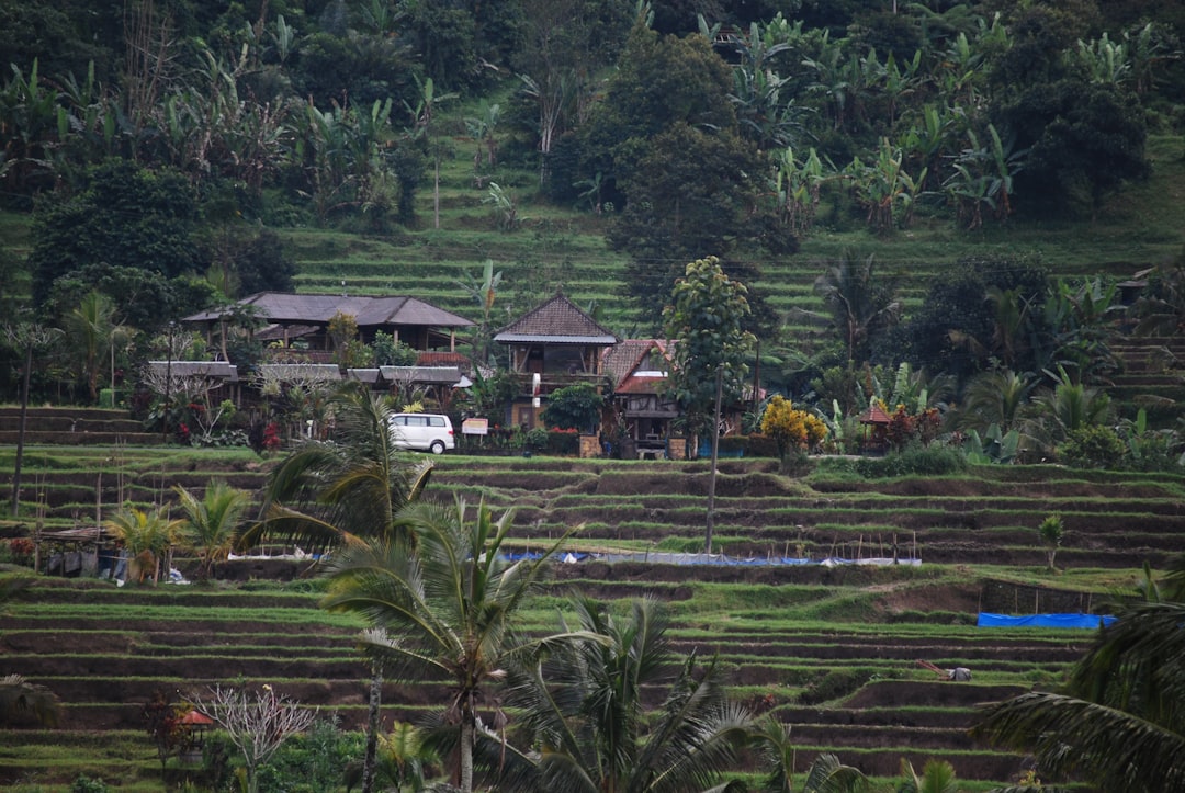 Highland photo spot Bali Tegal