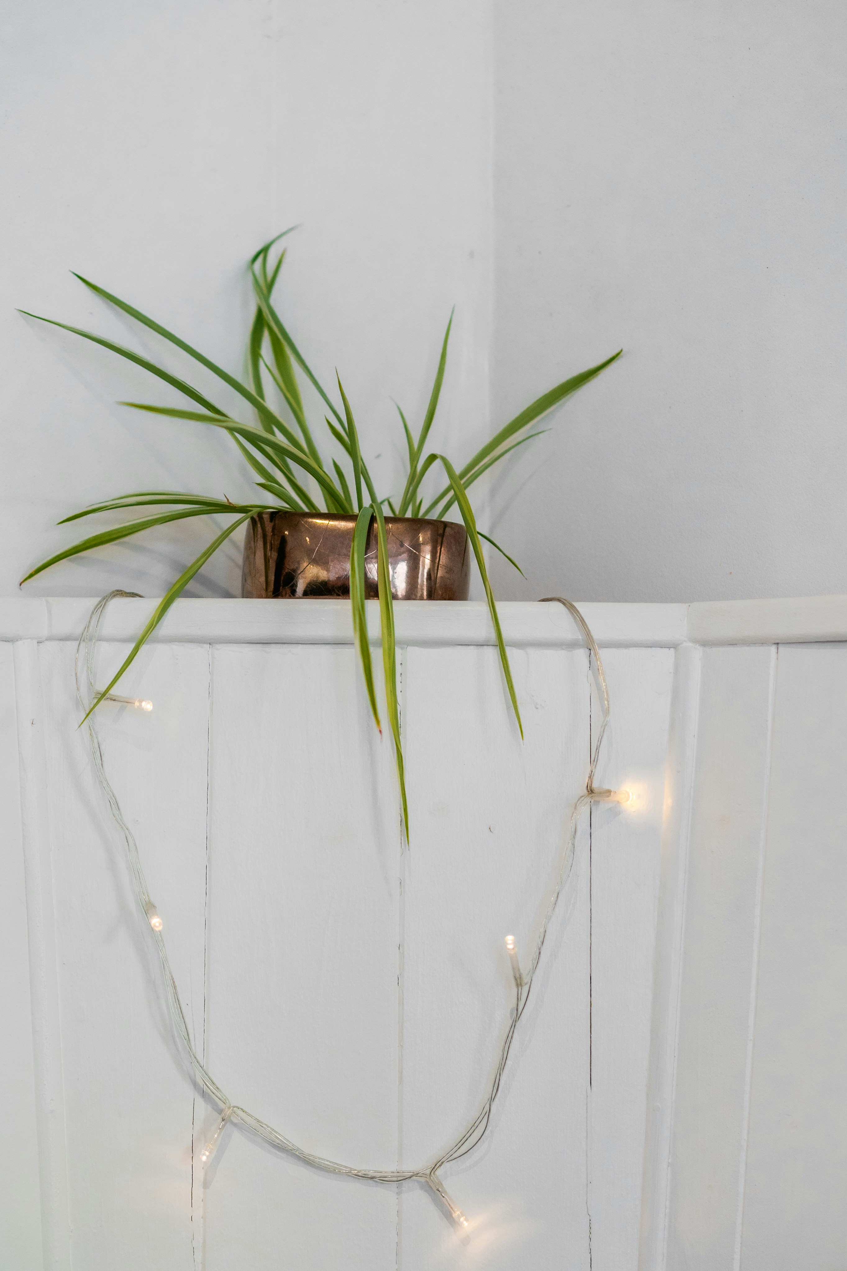 Photo by winstontjia