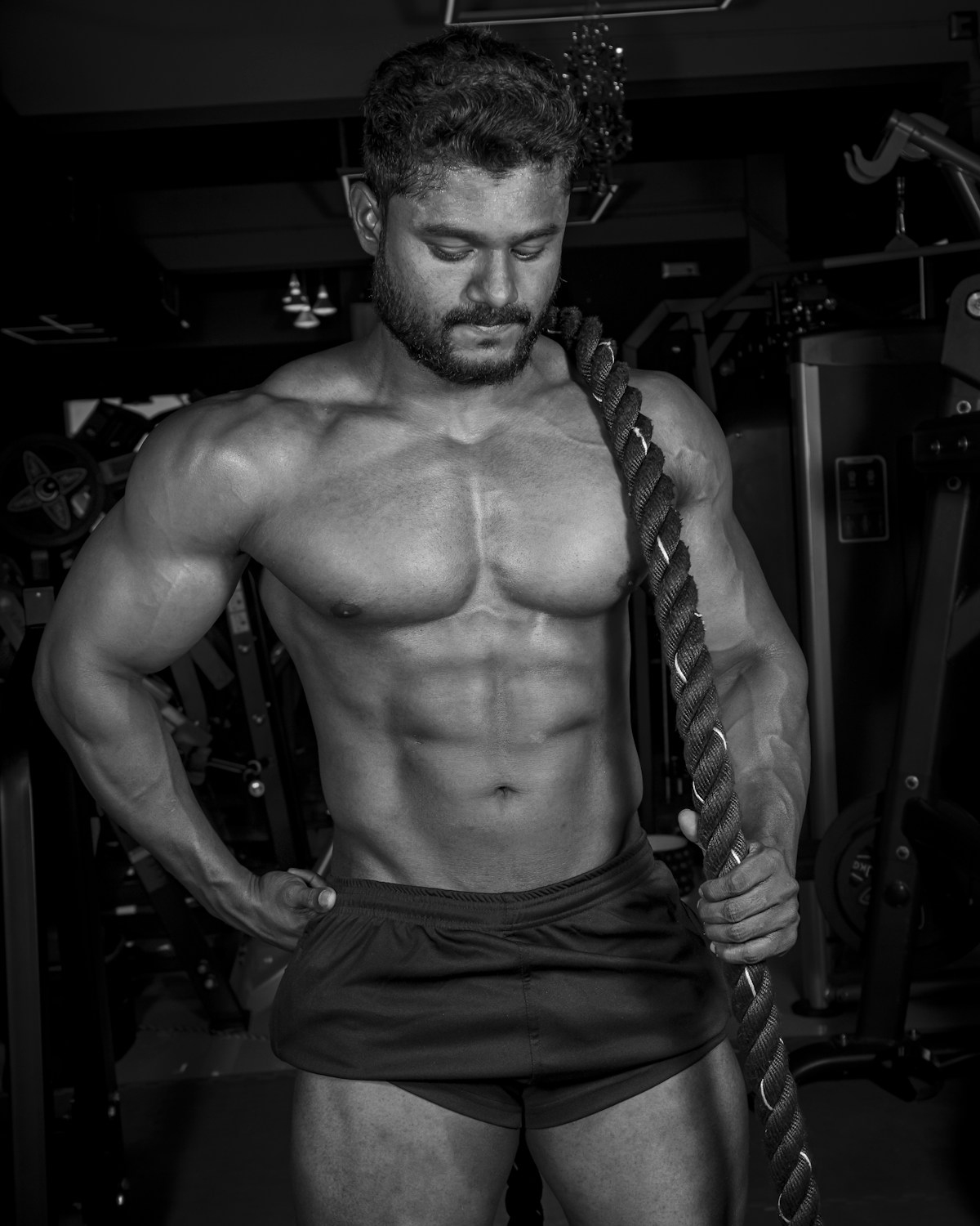 Descriptive text for the image