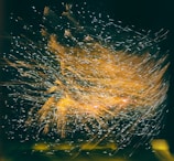 A dynamic explosion of light trails and spark-like patterns appears against a dark background, creating an intricate and flowing visual effect.