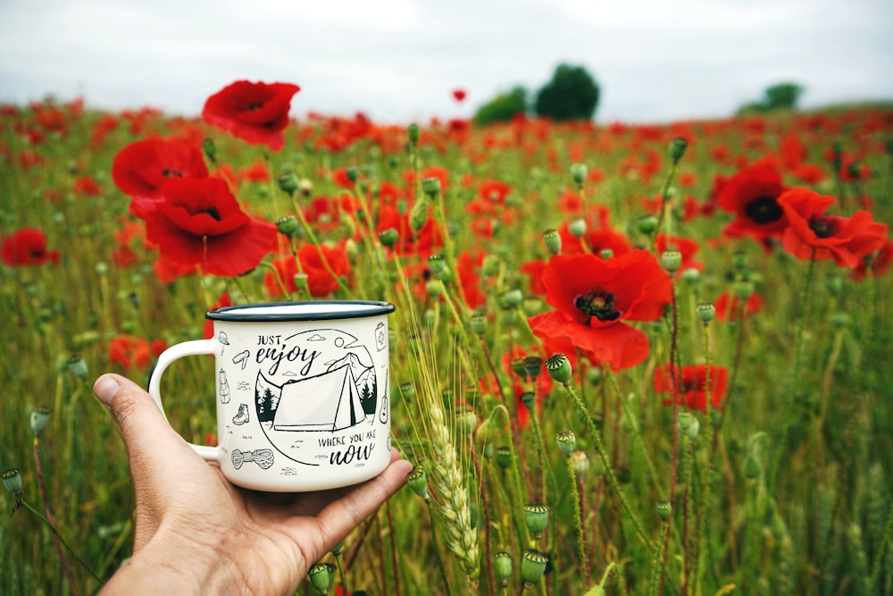 a hand holding a coffee cup in a field of red flowers