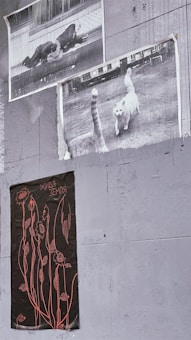 Three posters are displayed on a textured concrete wall. The top poster features a monochrome photograph of two people lying on the pavement, engaged in an intimate or comforting gesture. Below it is another black and white photo depicting a cat walking outdoors, with its tail prominently in the foreground. The third poster is black with a design of red floral outlines and Cyrillic text on it.