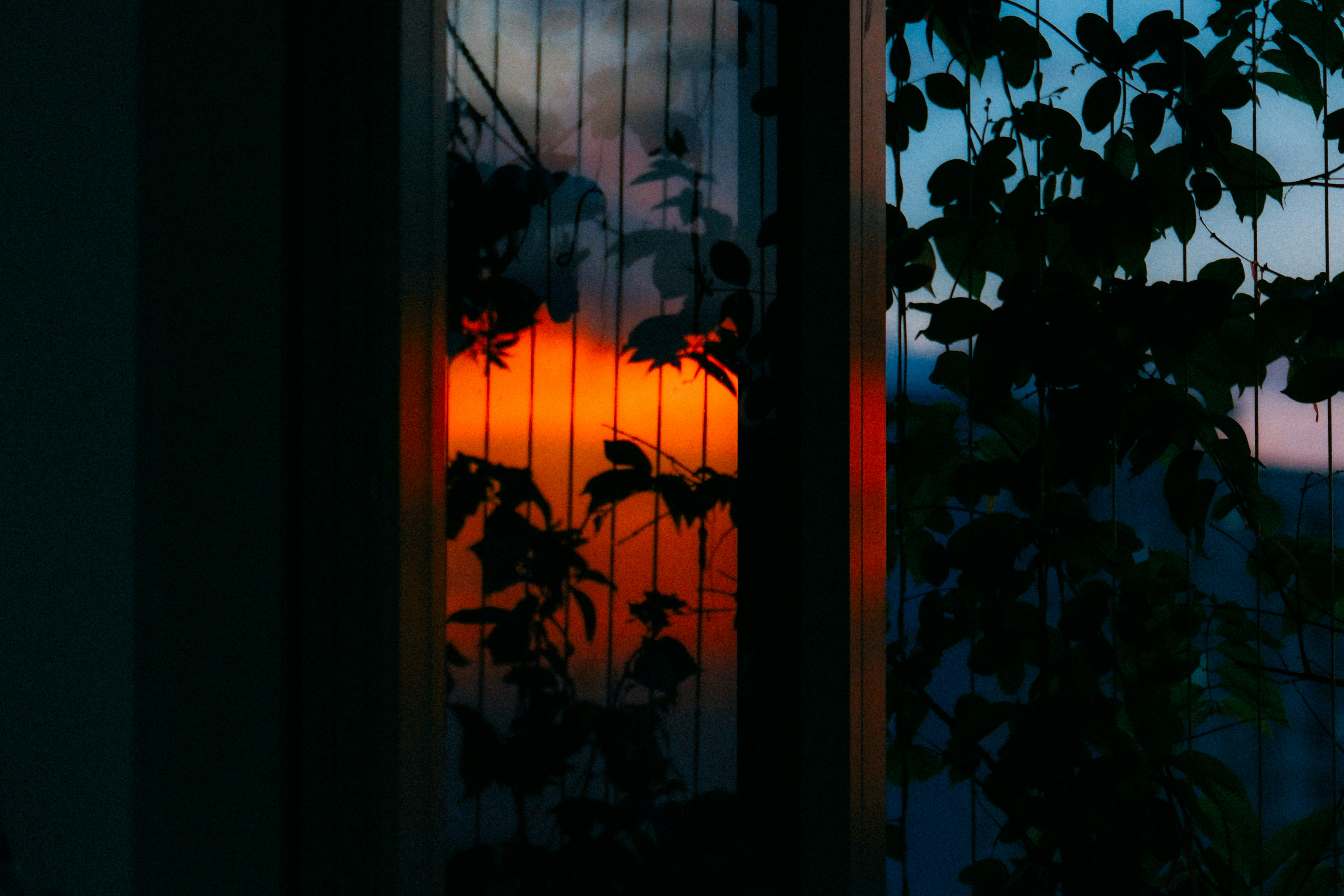 Photo by dying_apricity