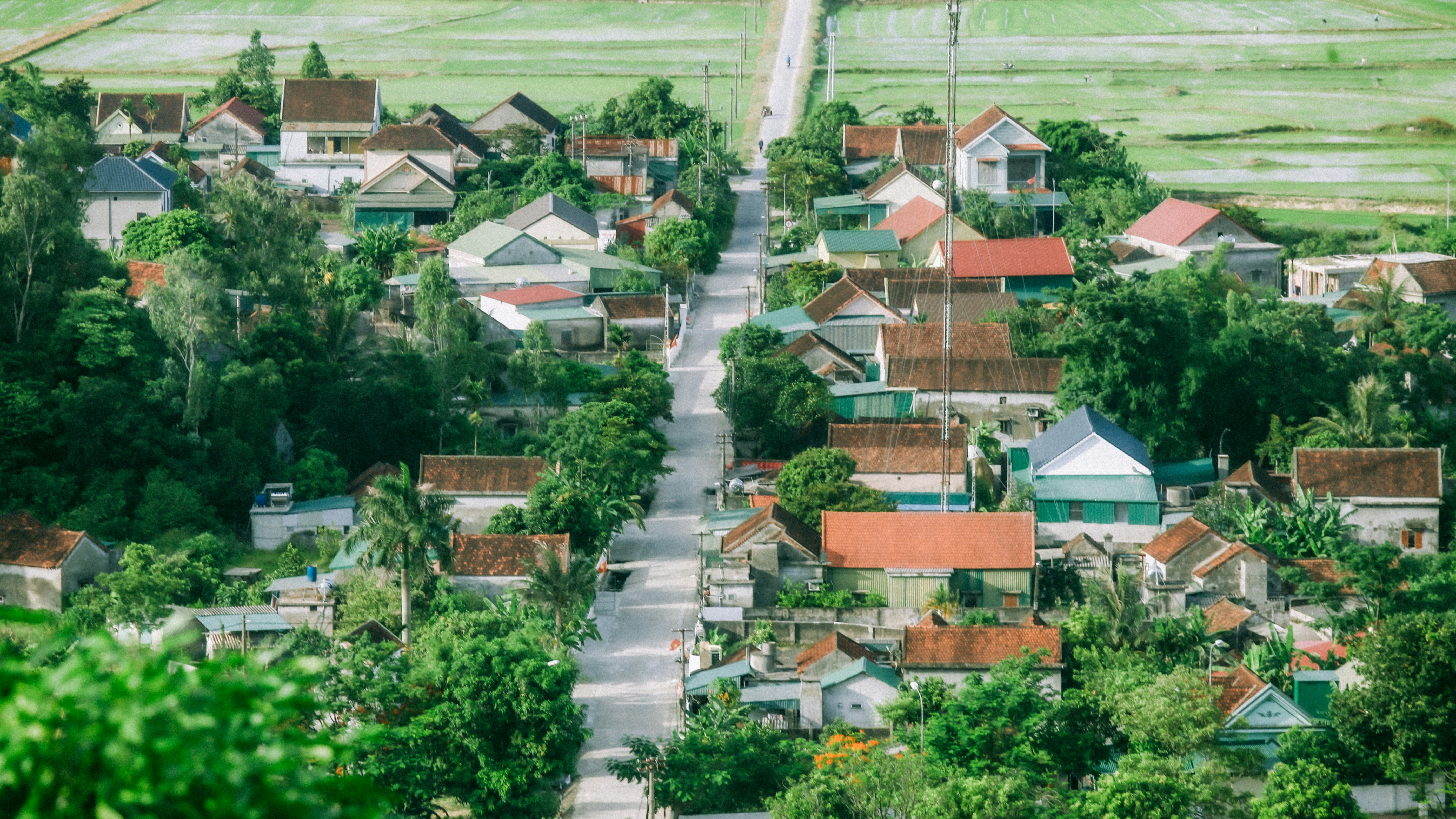 Photo by dying_apricity