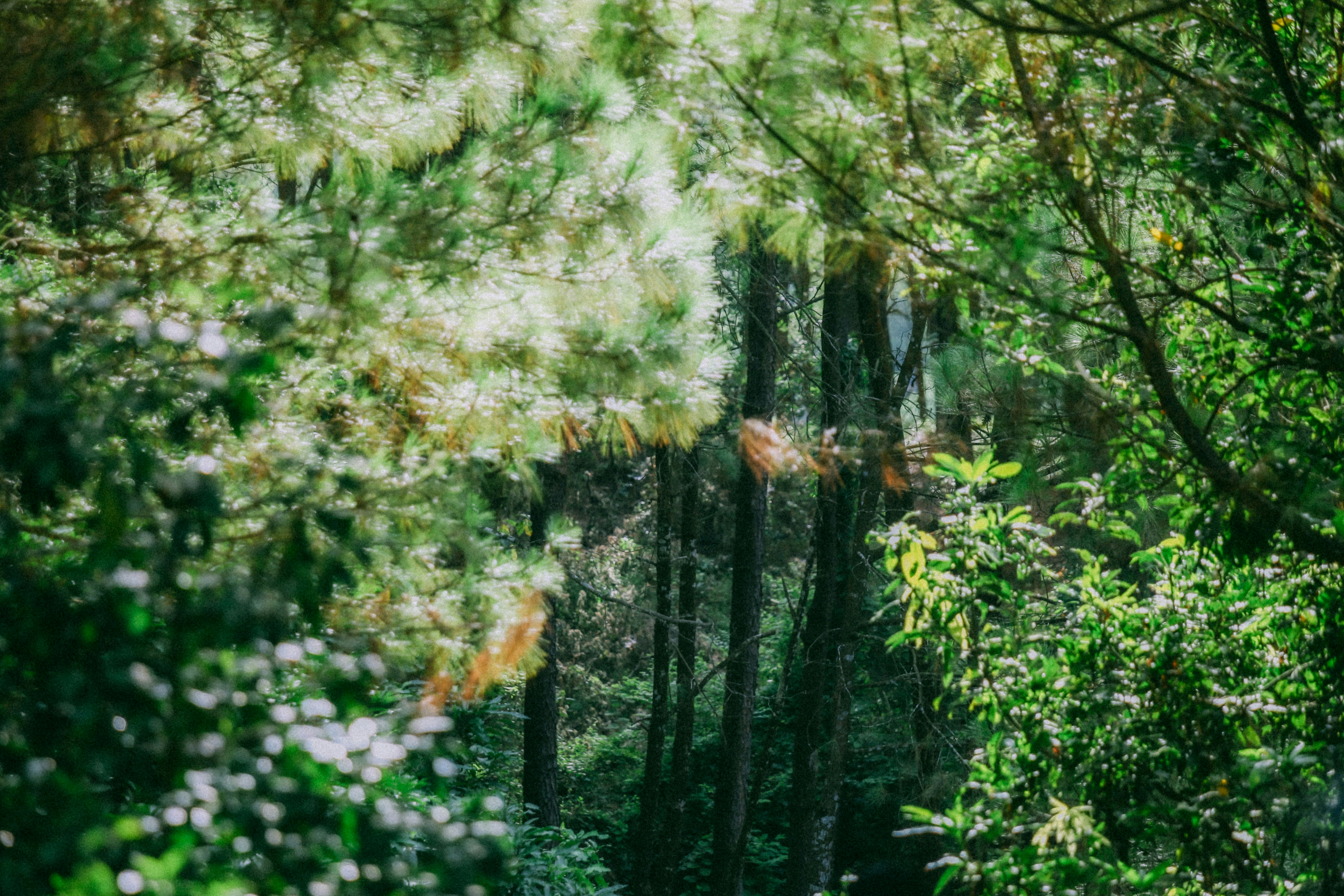 Photo by dying_apricity