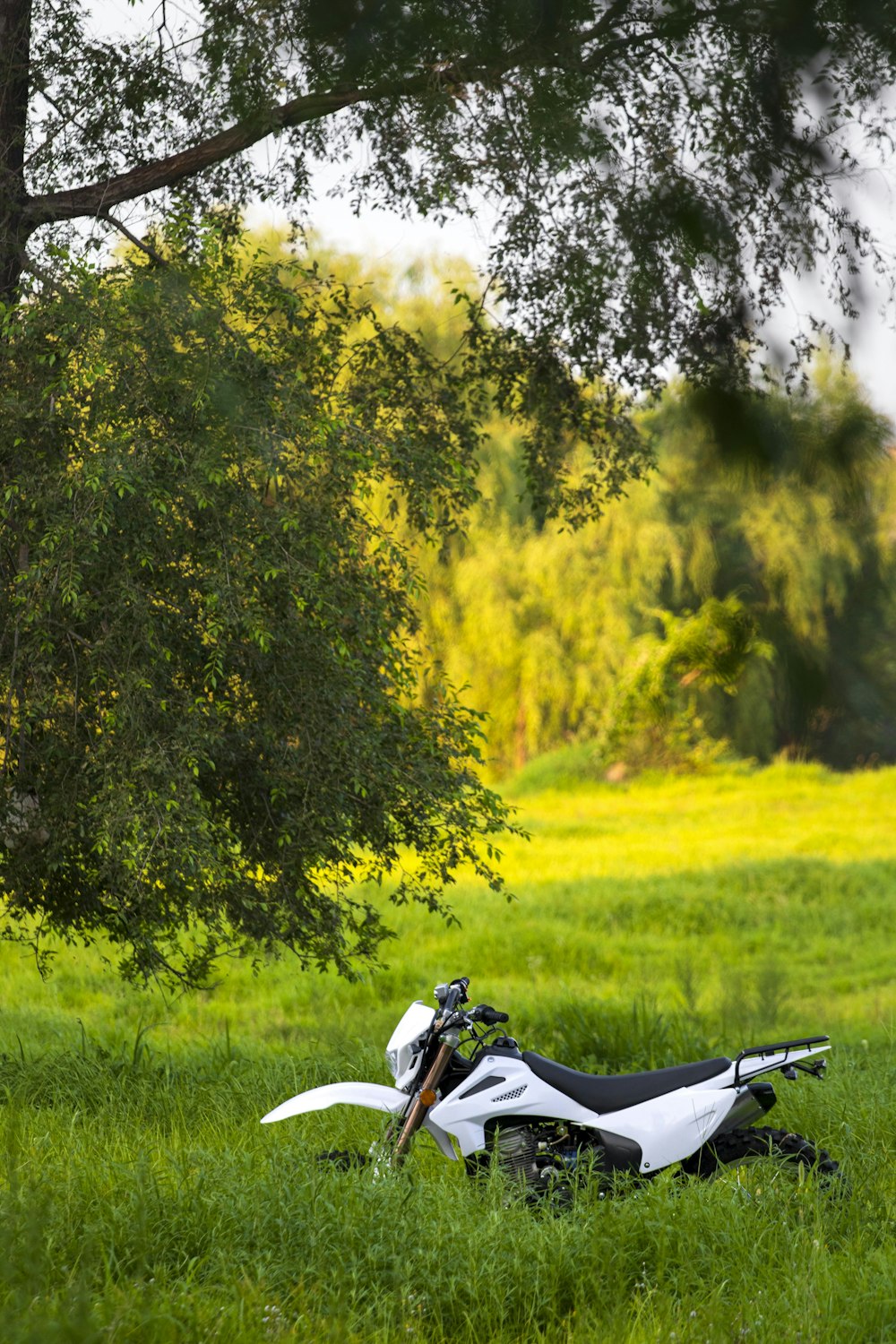 a motorcycle parked in a grassy area