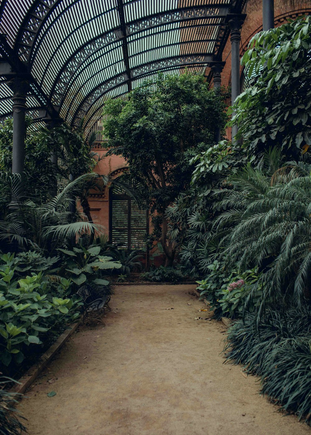 a walkway with plants and a metal gate