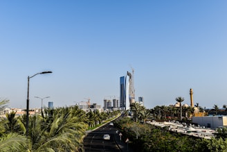 a city skyline with palm trees