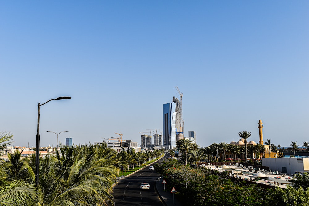 a city skyline with palm trees