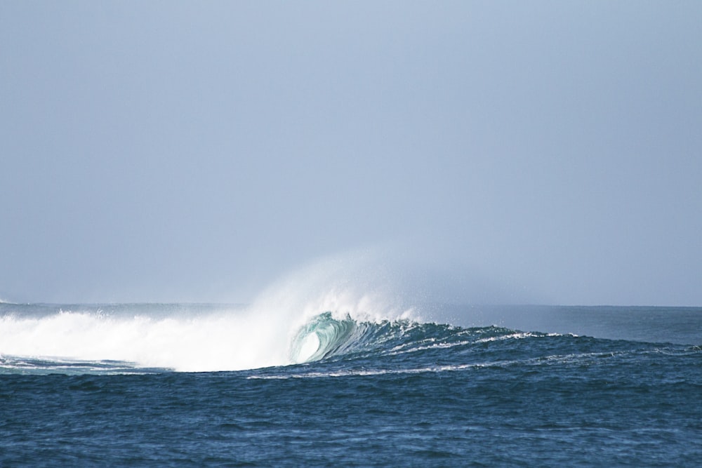 a wave in the ocean