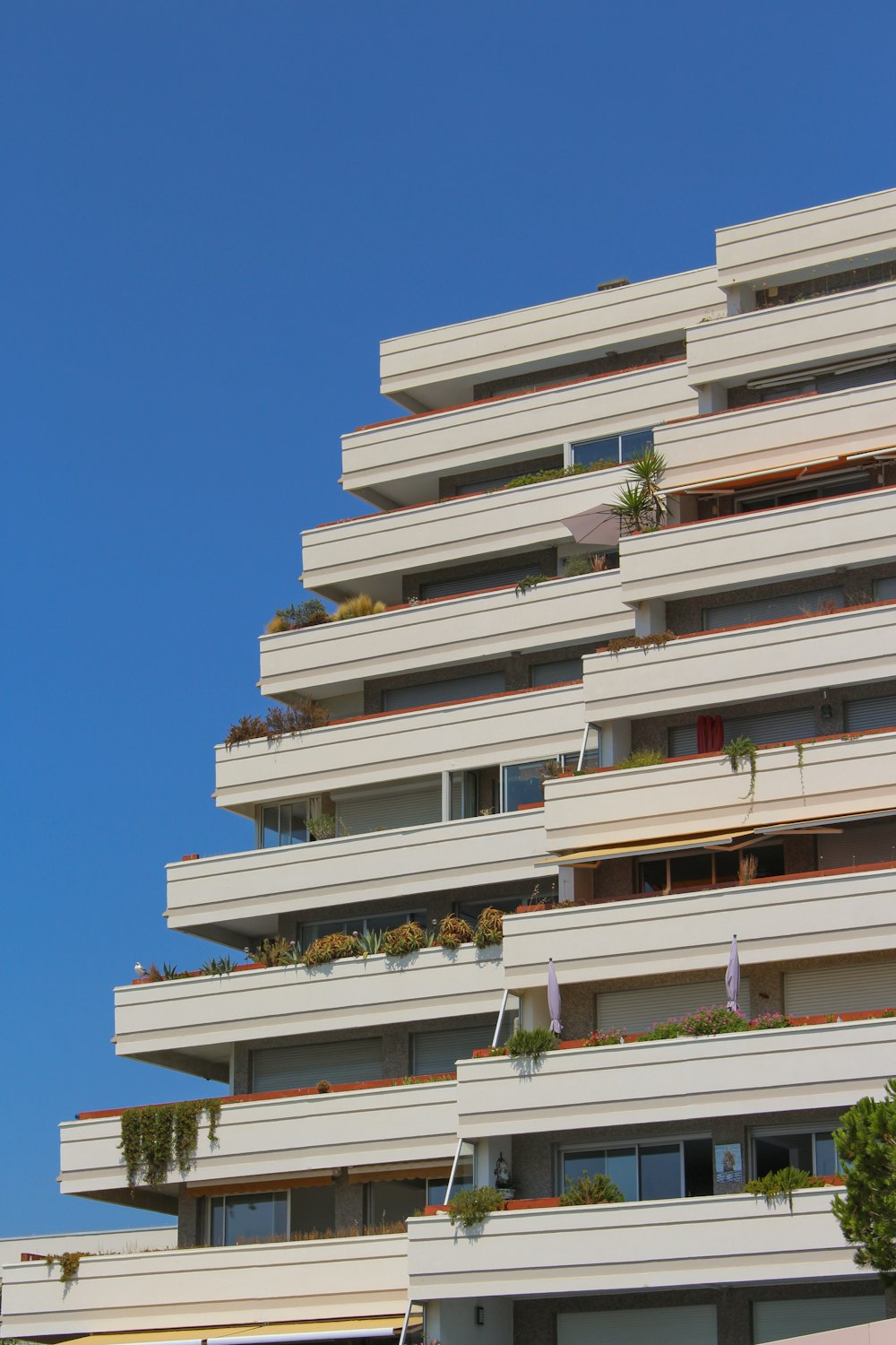 a building with balconies and plants on the roof