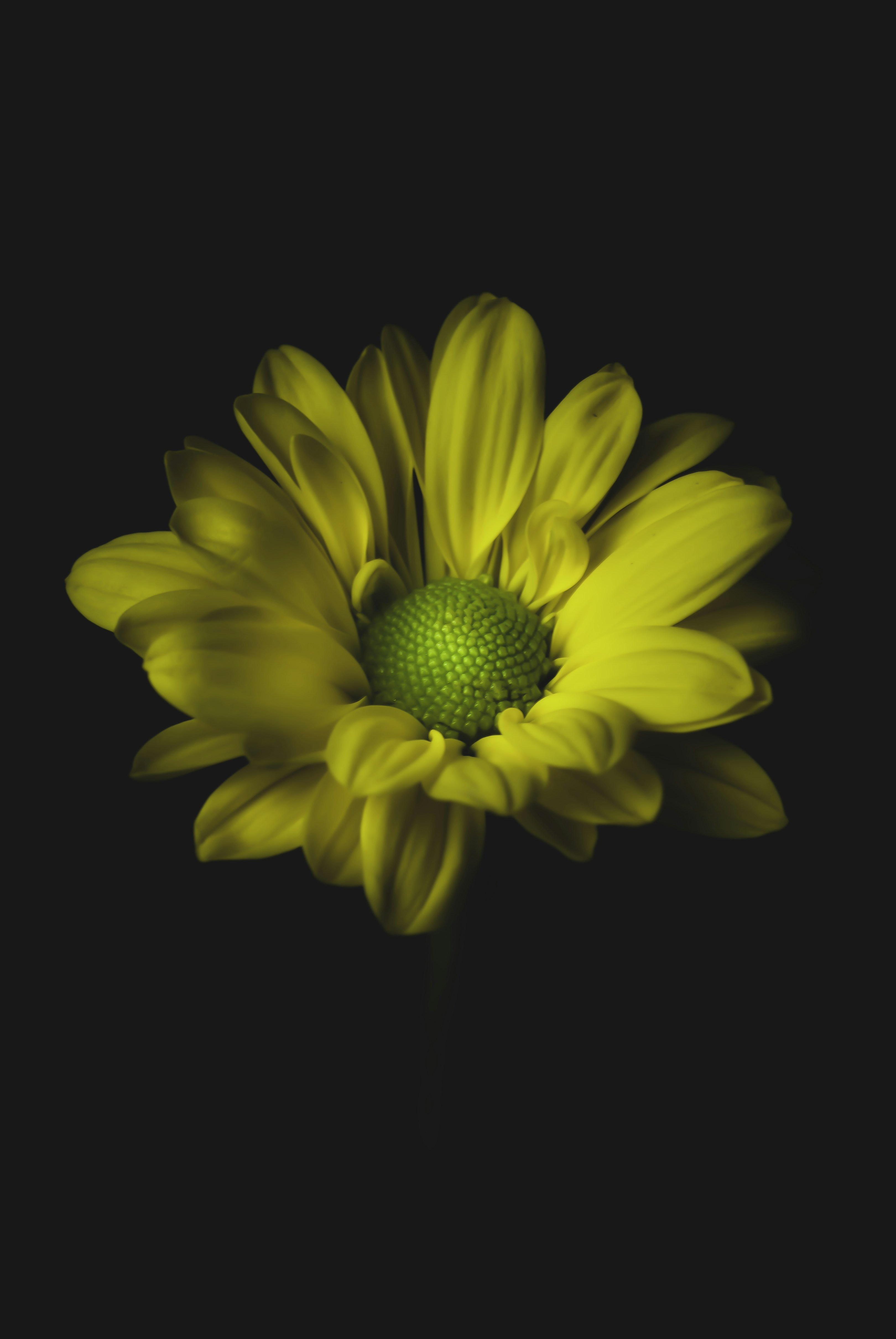 Photo by thom_oxford