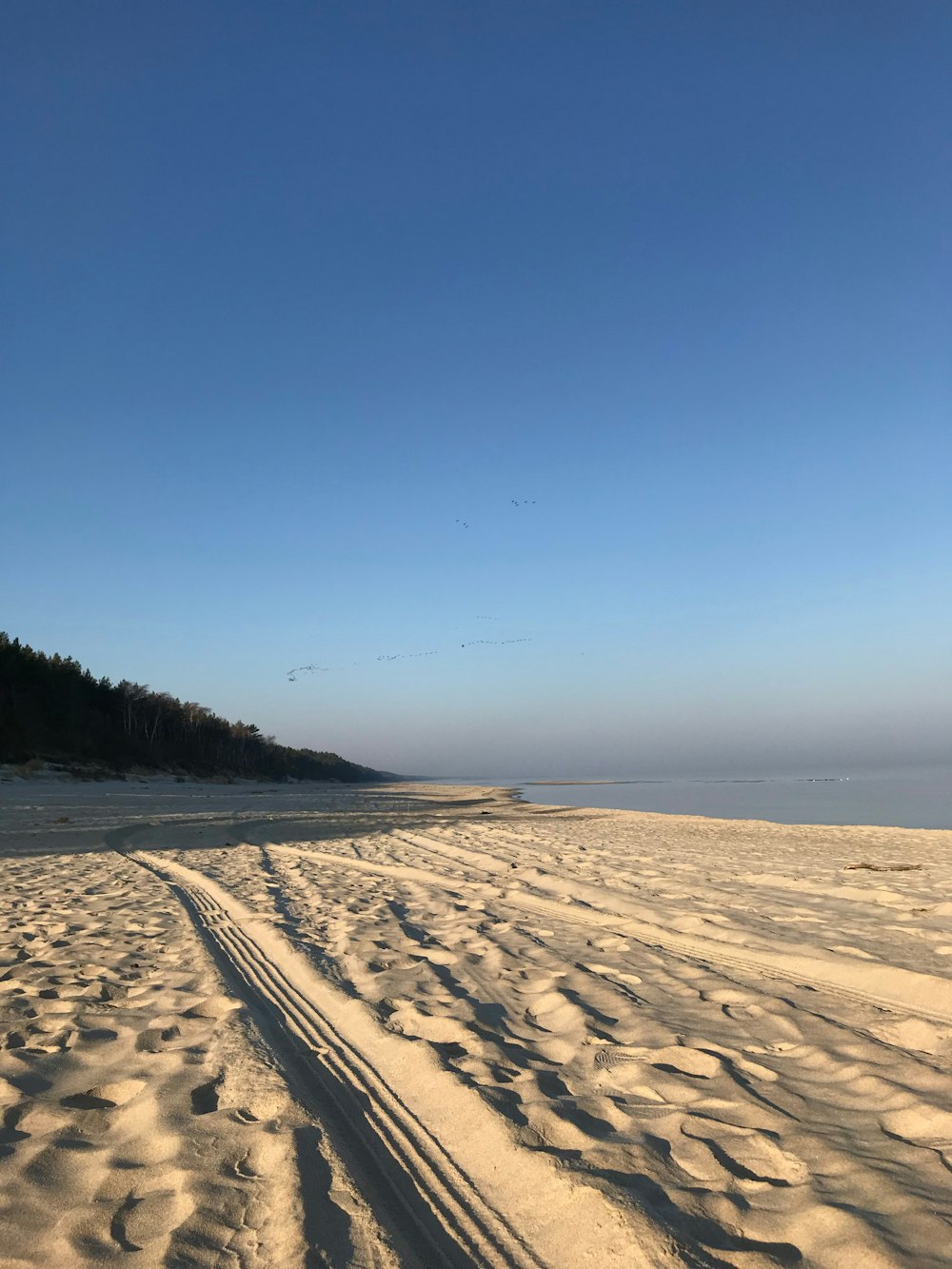 a sandy beach with a trail