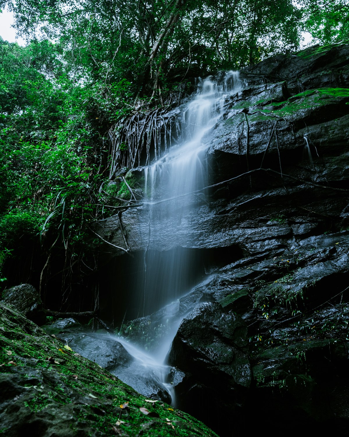 Cachoeira na selva caindo em piscina natural