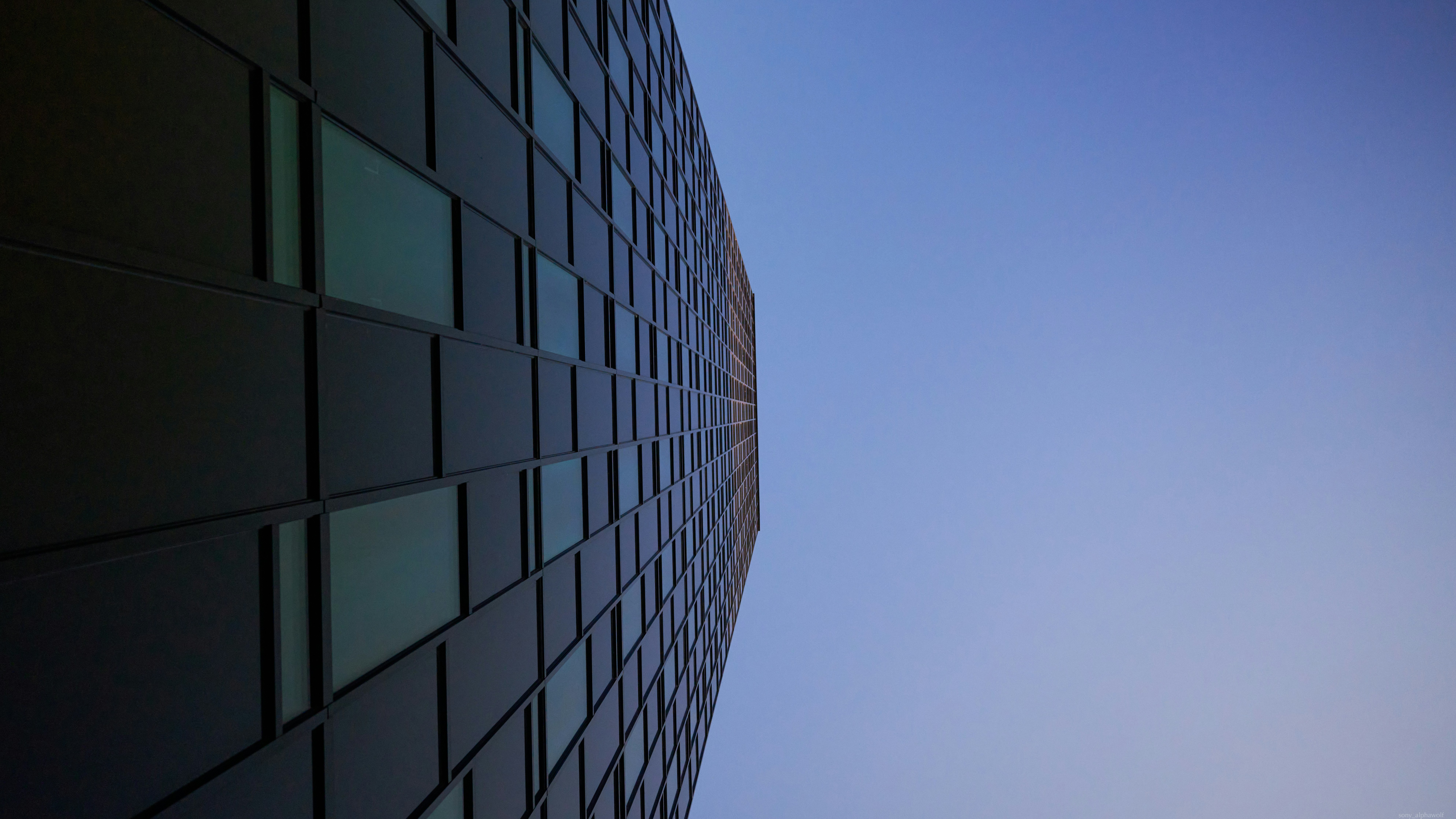 Photo by travelalphawolf