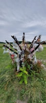 A sculpture made of wooden branches is adorned with various plastic bags filled with different items, tied to each branch. The structure is surrounded by green grass and some small plants, set against an overcast sky.