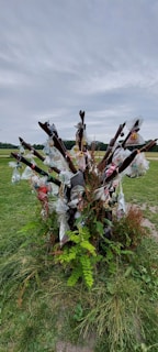 A sculpture made of wooden branches is adorned with various plastic bags filled with different items, tied to each branch. The structure is surrounded by green grass and some small plants, set against an overcast sky.