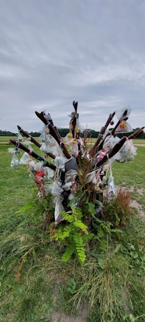 An installation of found objects arranged thoughtfully in an overlooked public space.