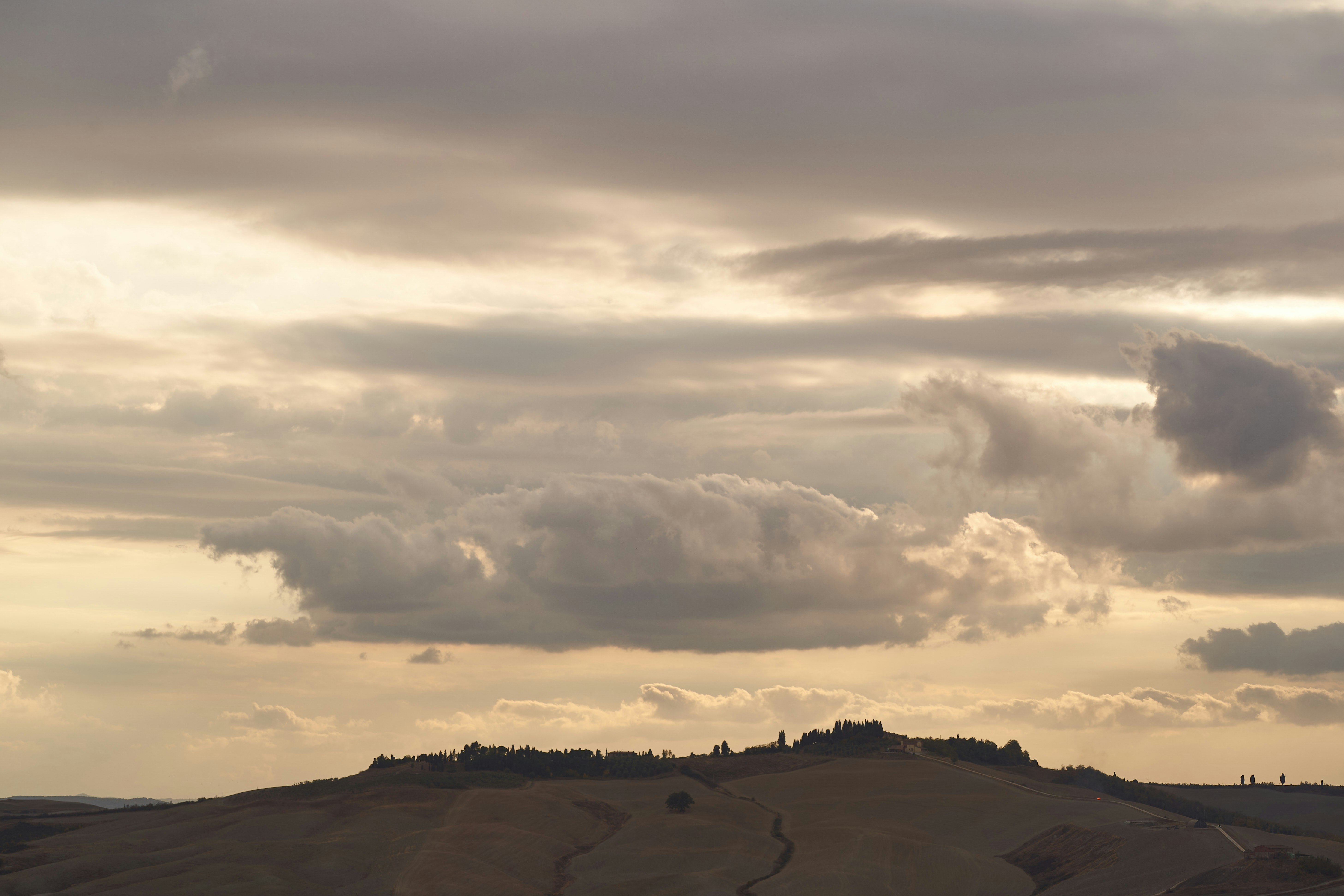 Photo by wolfgang_hasselmann