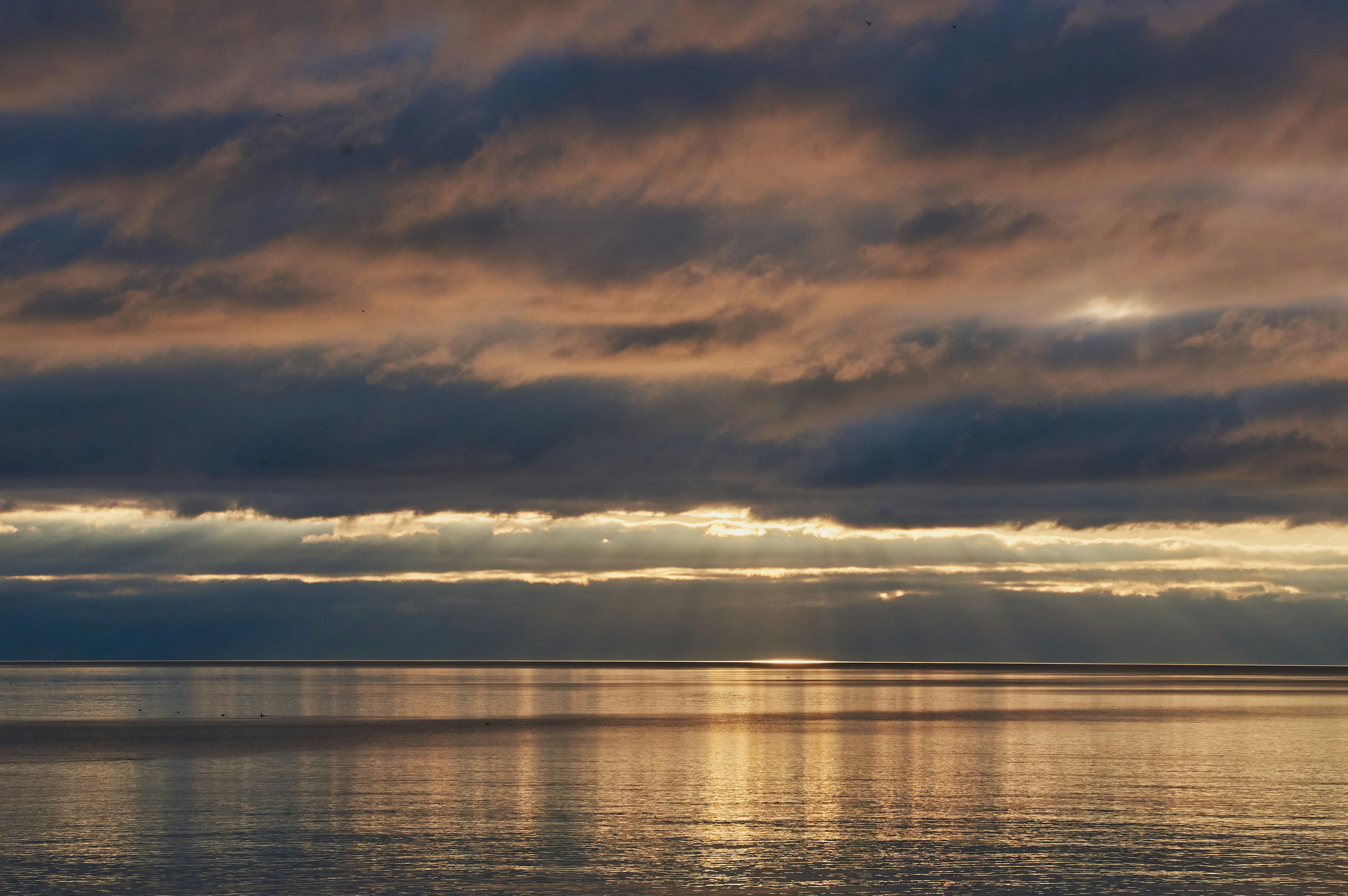 Photo by wolfgang_hasselmann