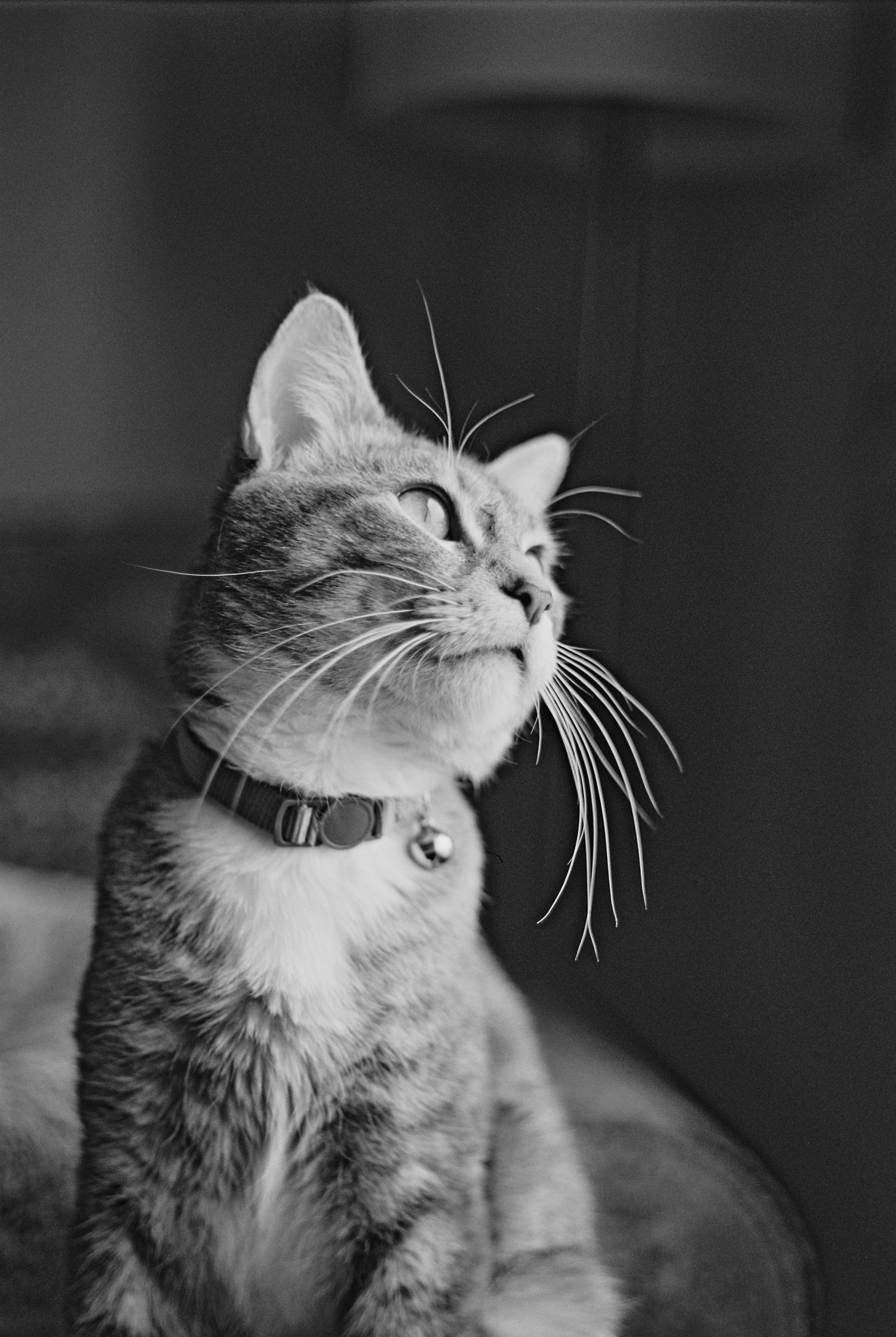 Photo by davispatton