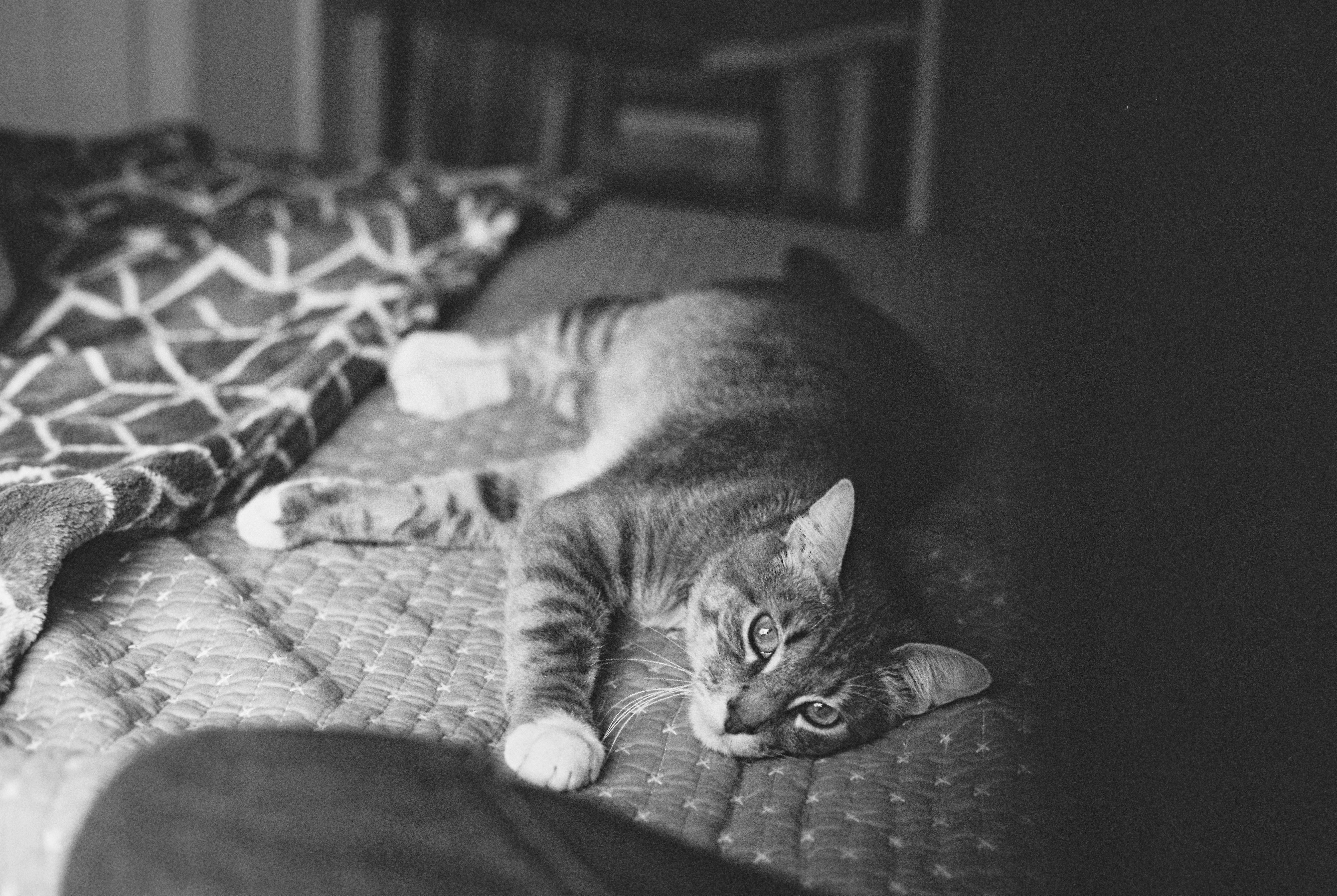 Photo by davispatton