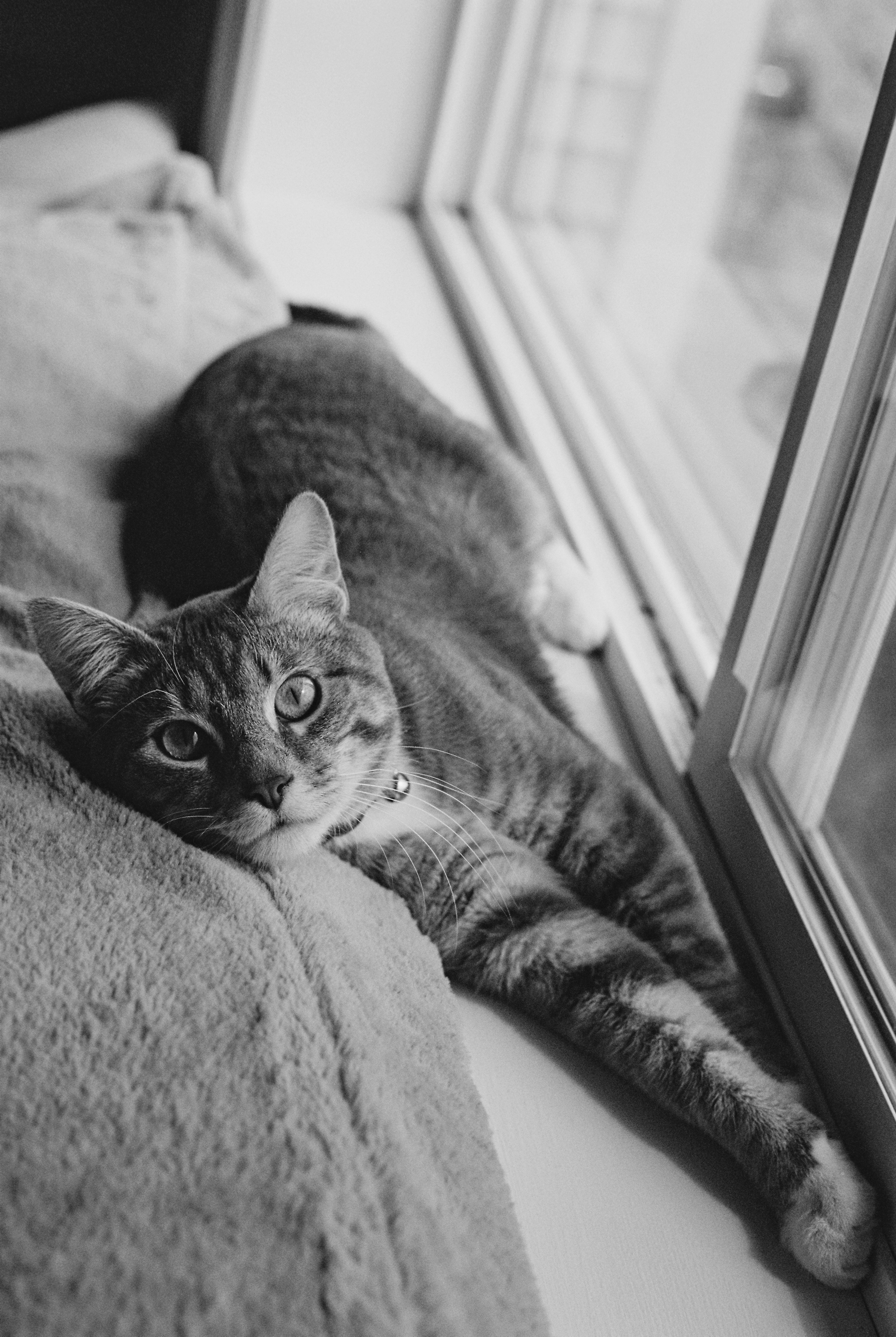 Photo by davispatton