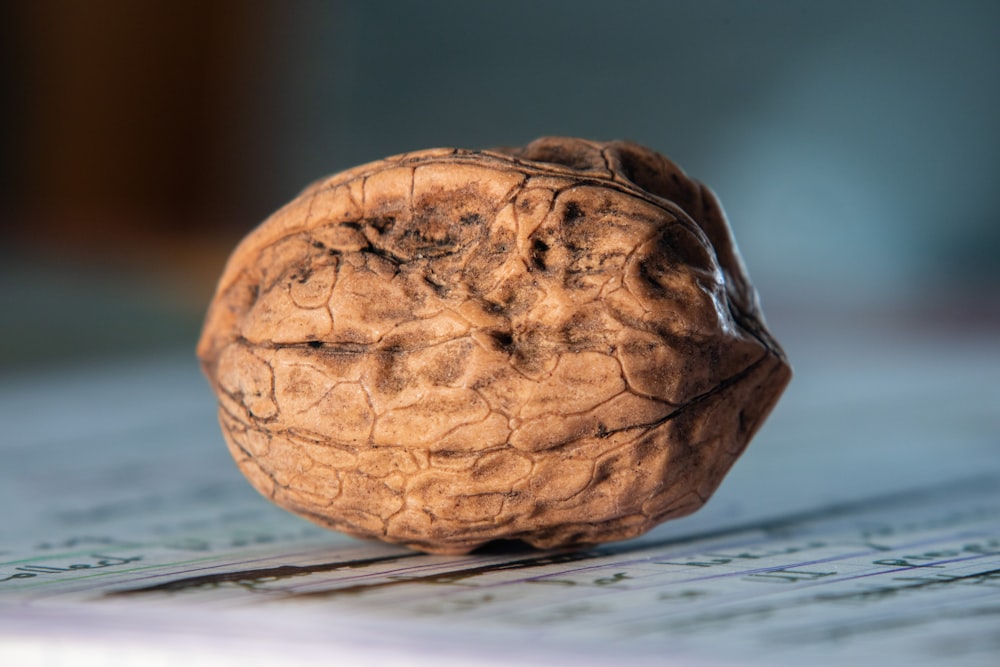 a brown ball on a blue surface