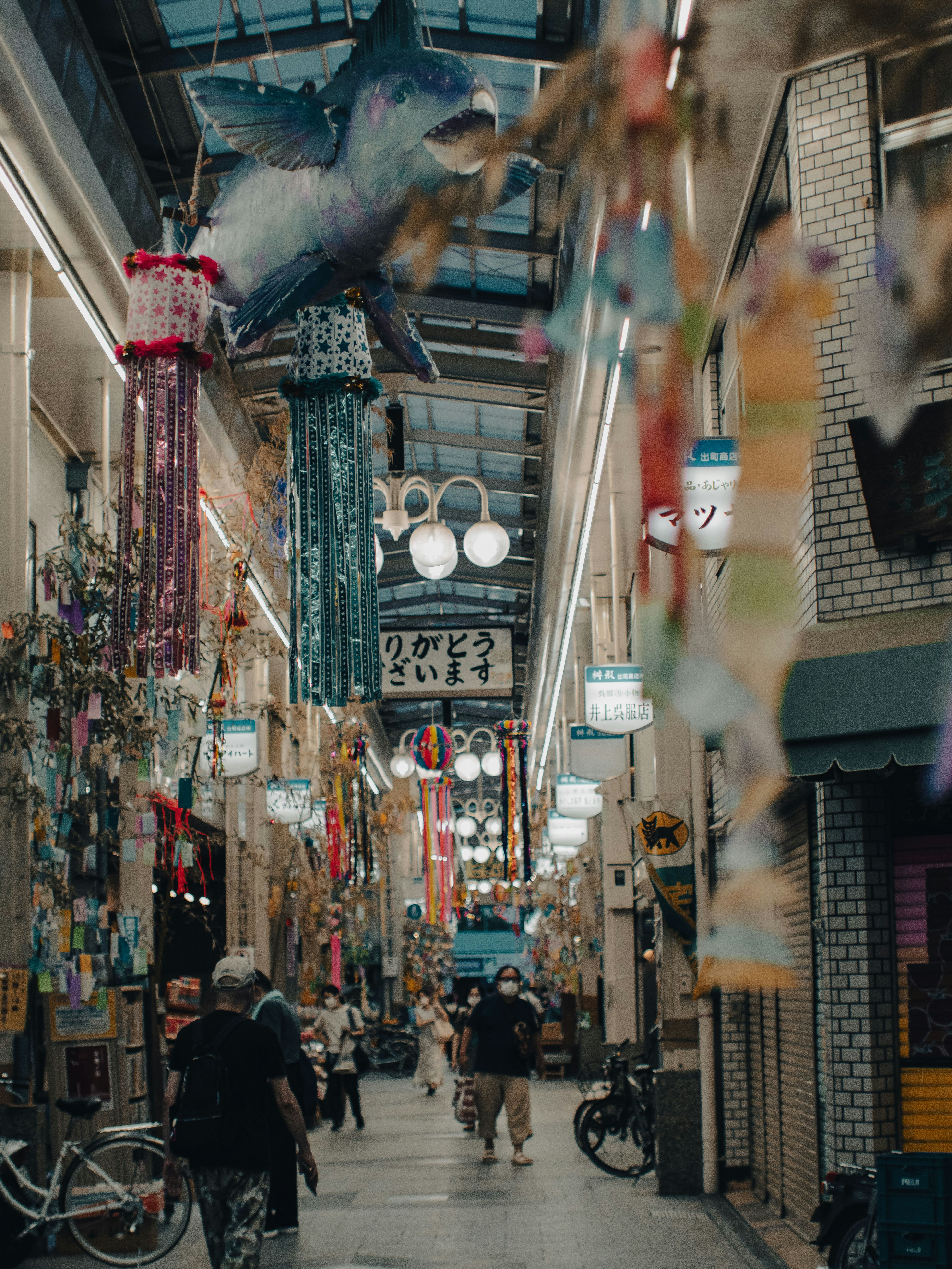 Photo by shellingfordyu